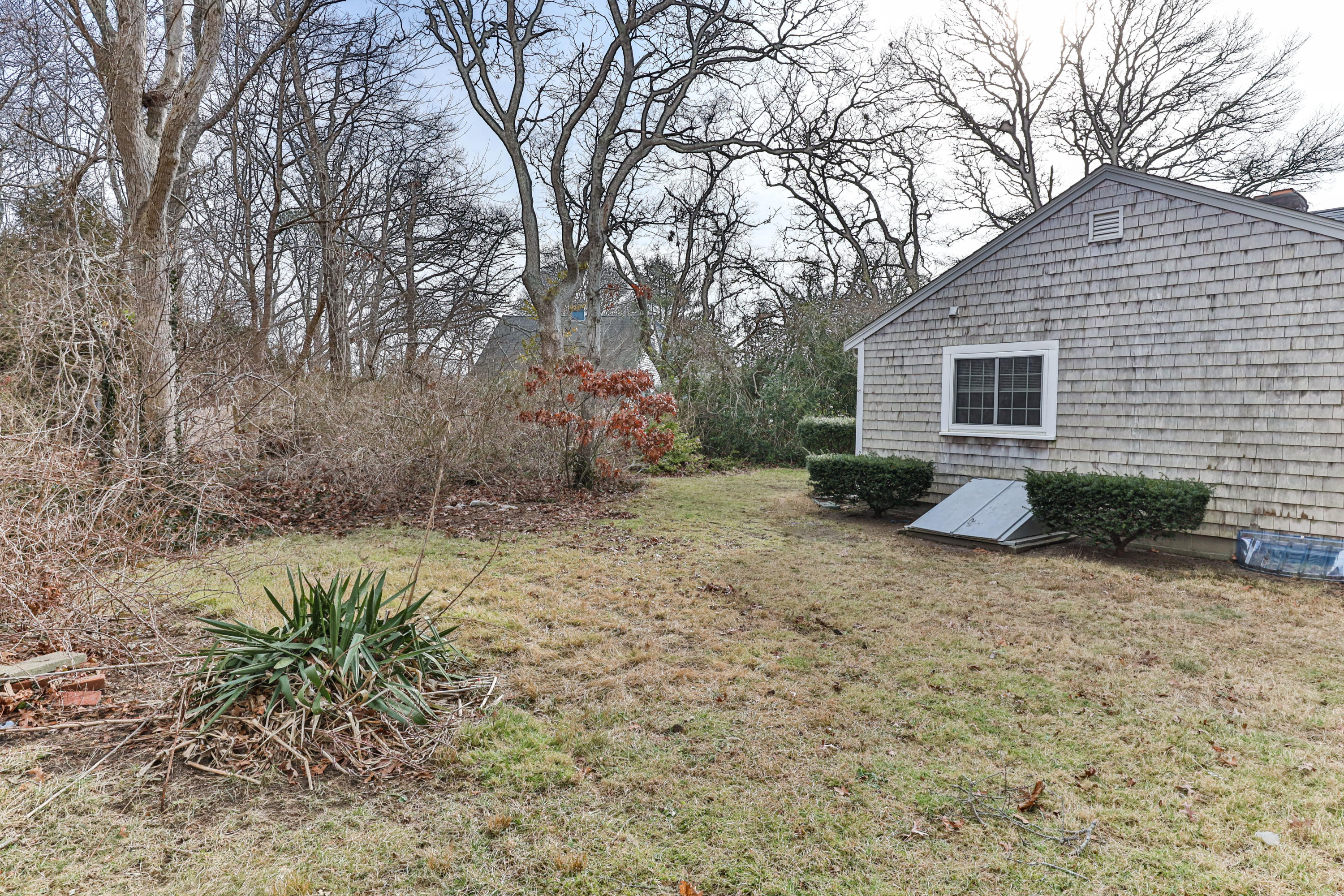 54 Murphy Road Hyannis, MA 02601 - Photo 22 of 24 a backyard of a house with plants and large tree