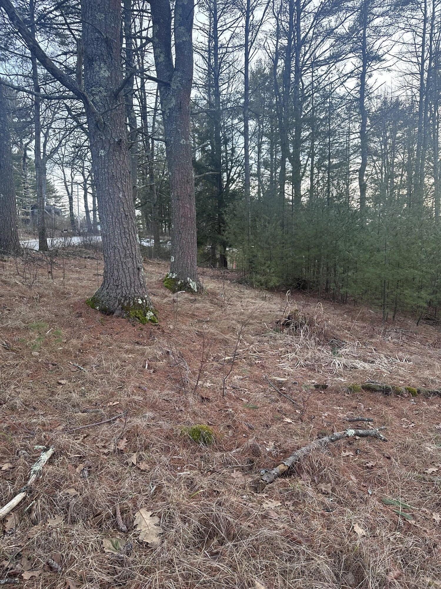 Tbd Heath Road Saco, ME 04072 - Photo 3 of 5 IMG_4383