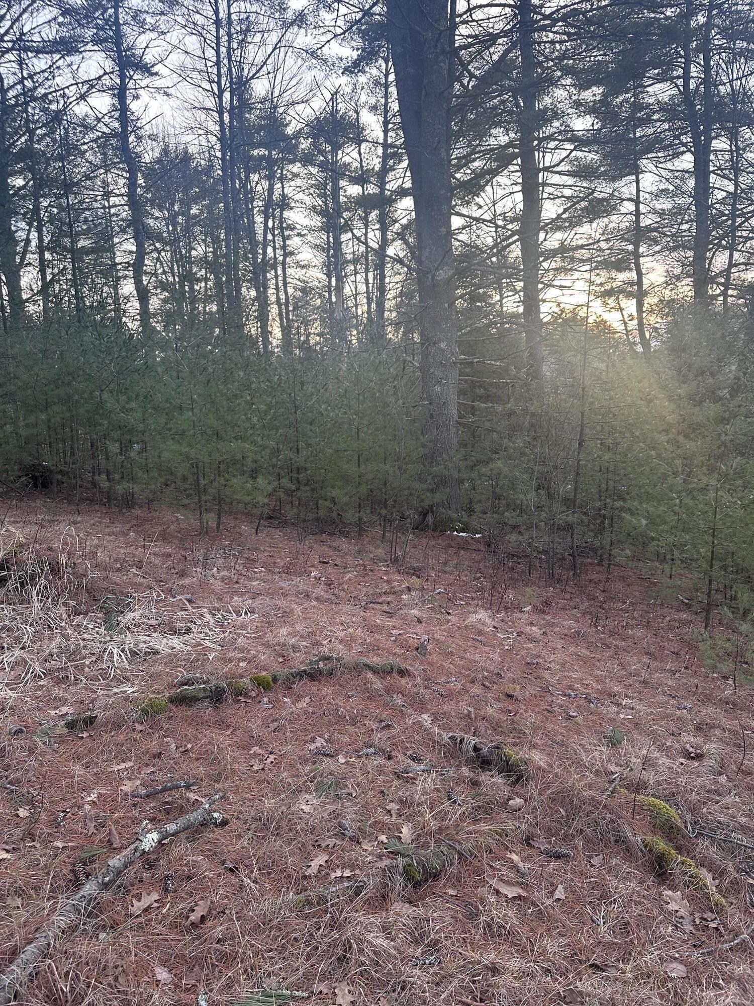 Tbd Heath Road Saco, ME 04072 - Photo 4 of 5 IMG_4384