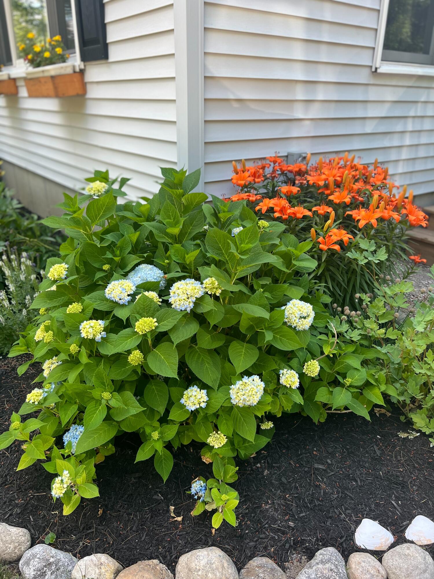 583 Bonny Eagle Road Standish, ME 04084 - Photo 27 of 34 Flower bed 2022
