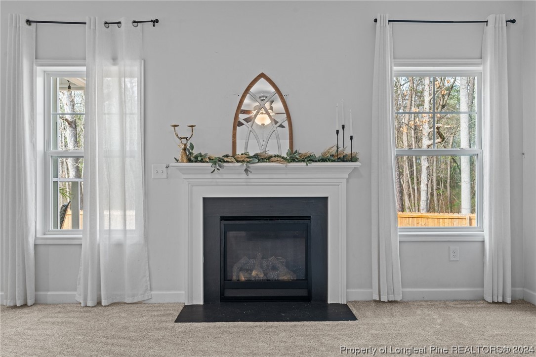 25 Dandelion Place Spring Lake, NC 28390 - Photo 15 of 43 Gallery Image 15