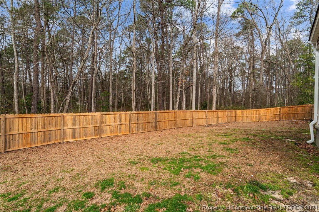 25 Dandelion Place Spring Lake, NC 28390 - Photo 39 of 43 Gallery Image 39