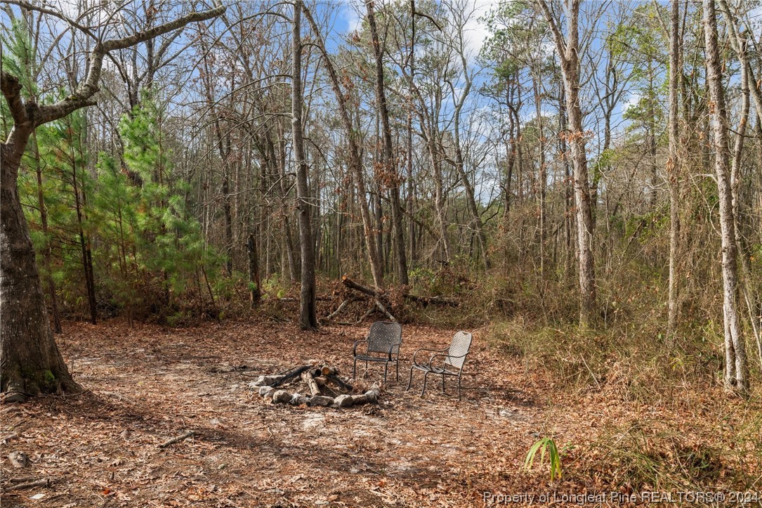 25 Dandelion Place Spring Lake, NC 28390 - Photo 40 of 43 Gallery Image 40
