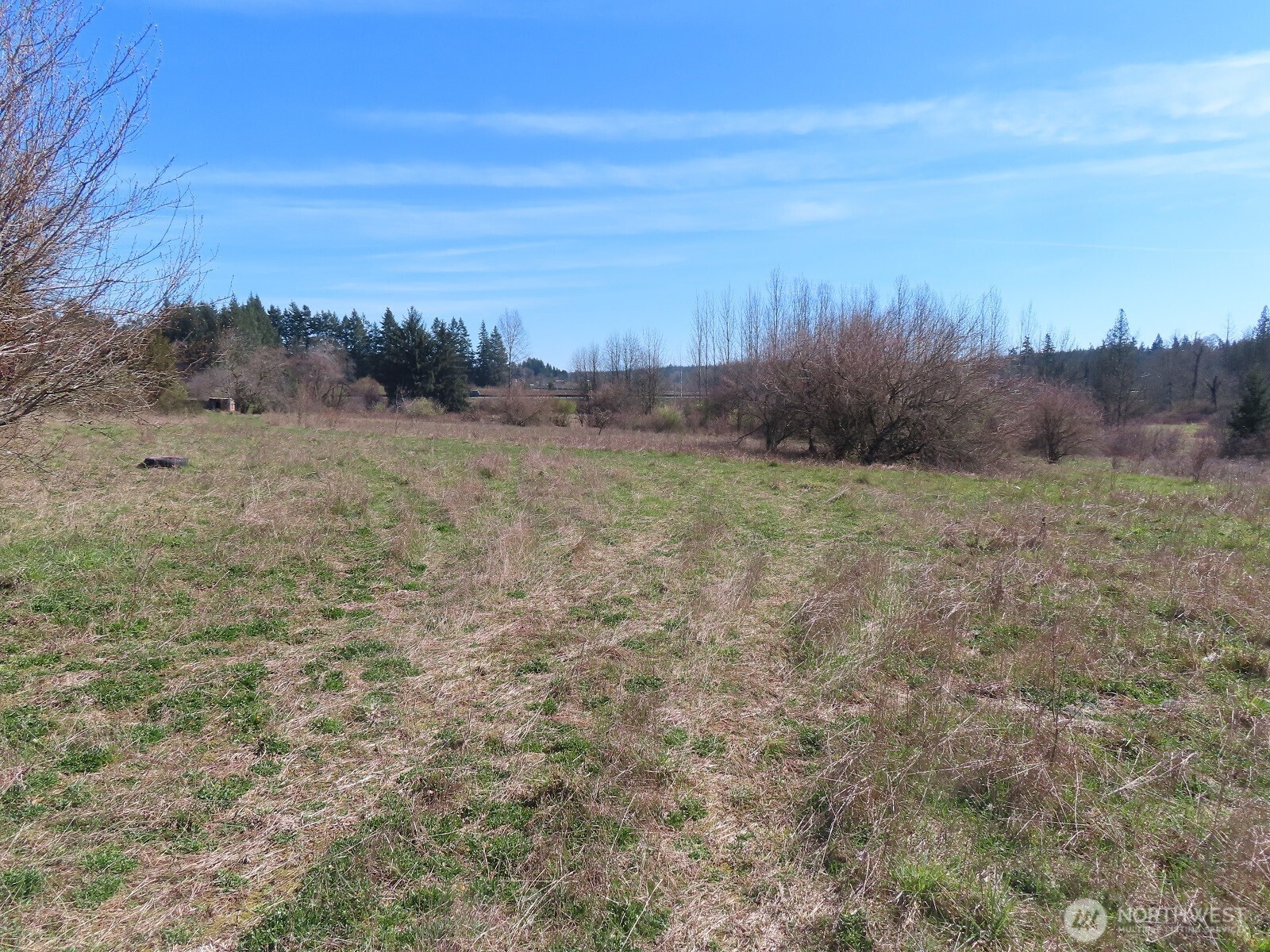 107 West Avery Road Napavine, WA 98532 - Photo 11 of 33 a view of a field with trees in background