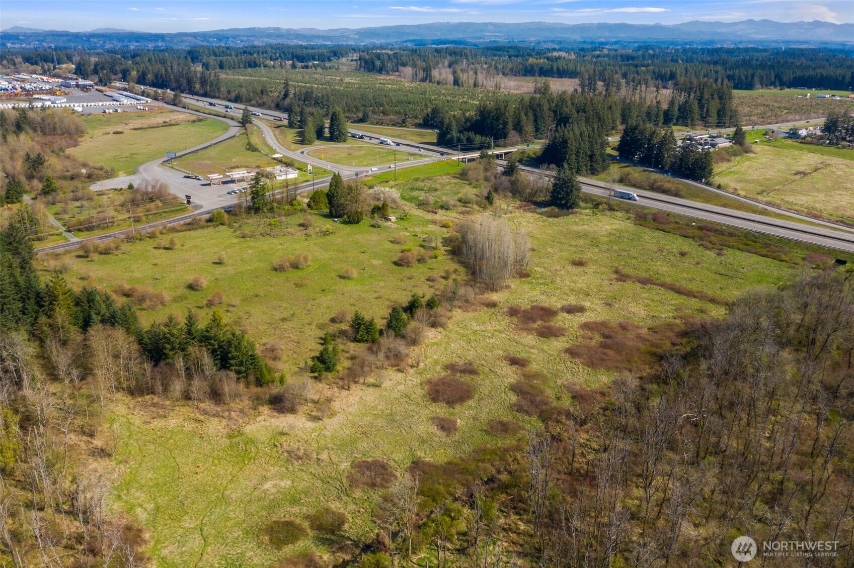 107 West Avery Road Napavine, WA 98532 - Photo 15 of 33 a view of a lake with a mountain