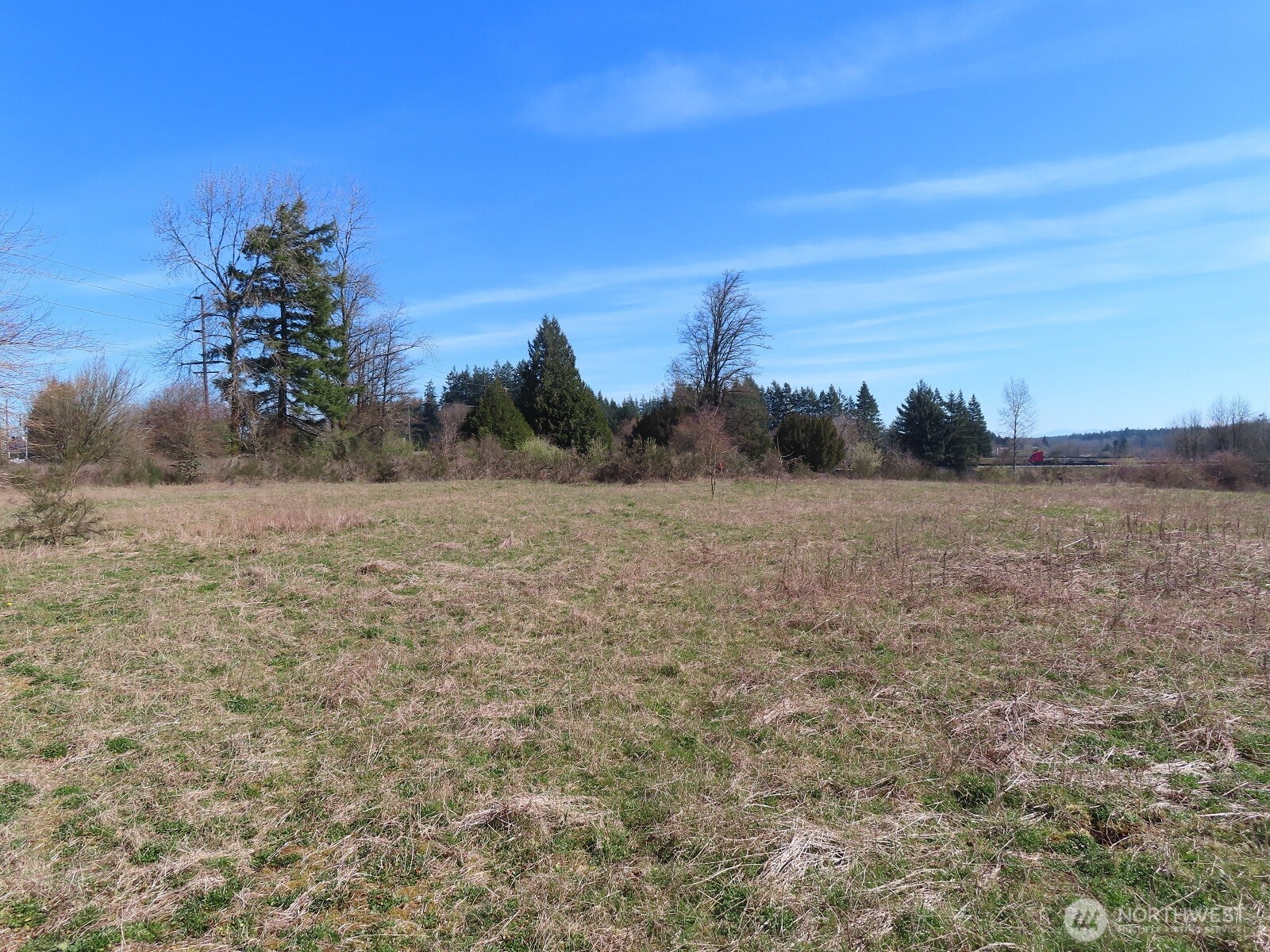 107 West Avery Road Napavine, WA 98532 - Photo 19 of 33 a view of a field with trees in background
