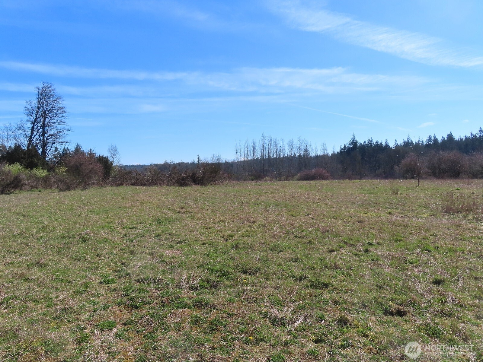 107 West Avery Road Napavine, WA 98532 - Photo 20 of 33 a view of a lake view and mountain in the back