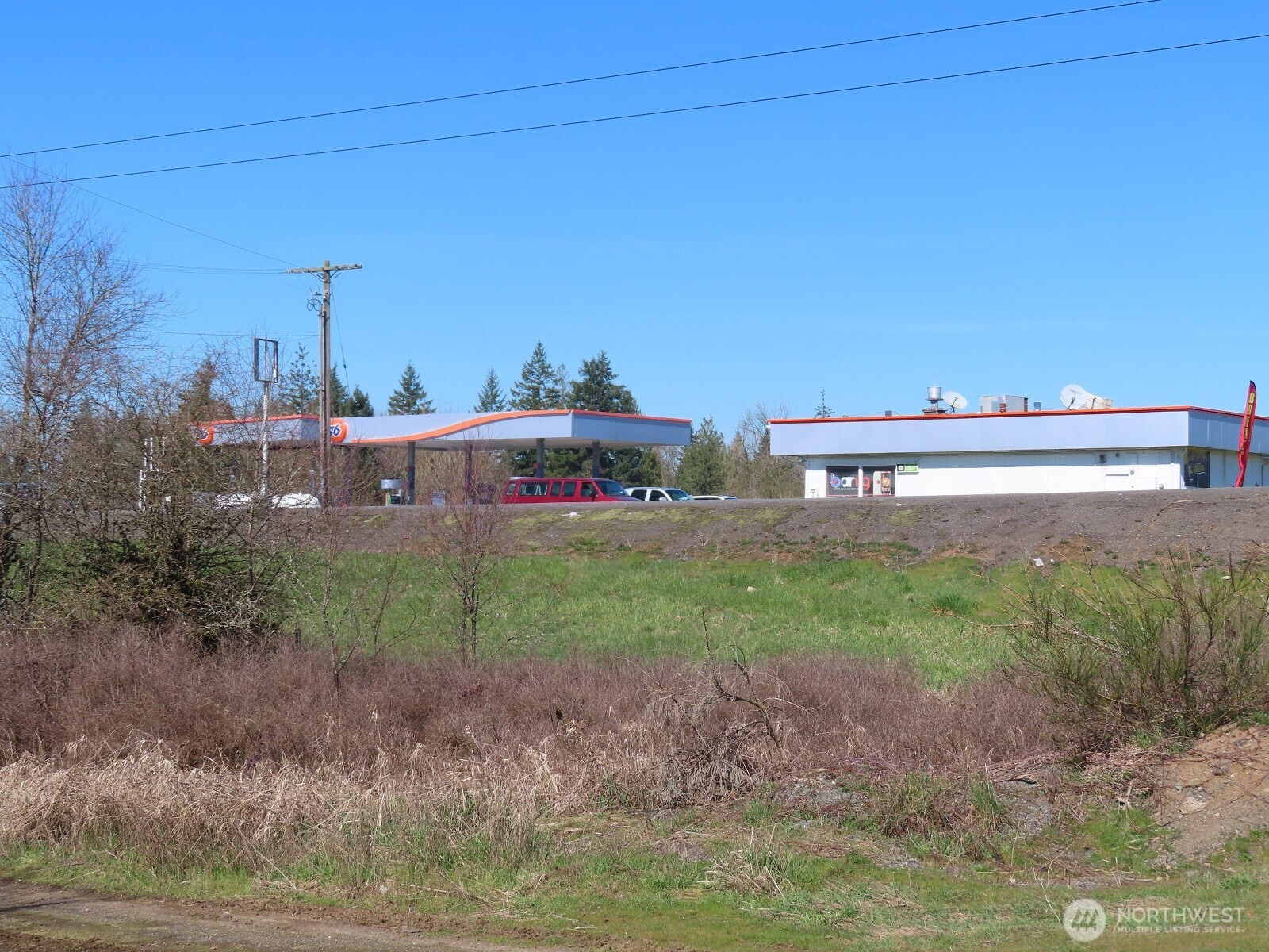 107 West Avery Road Napavine, WA 98532 - Photo 23 of 33 a view of a big yard with potted plants