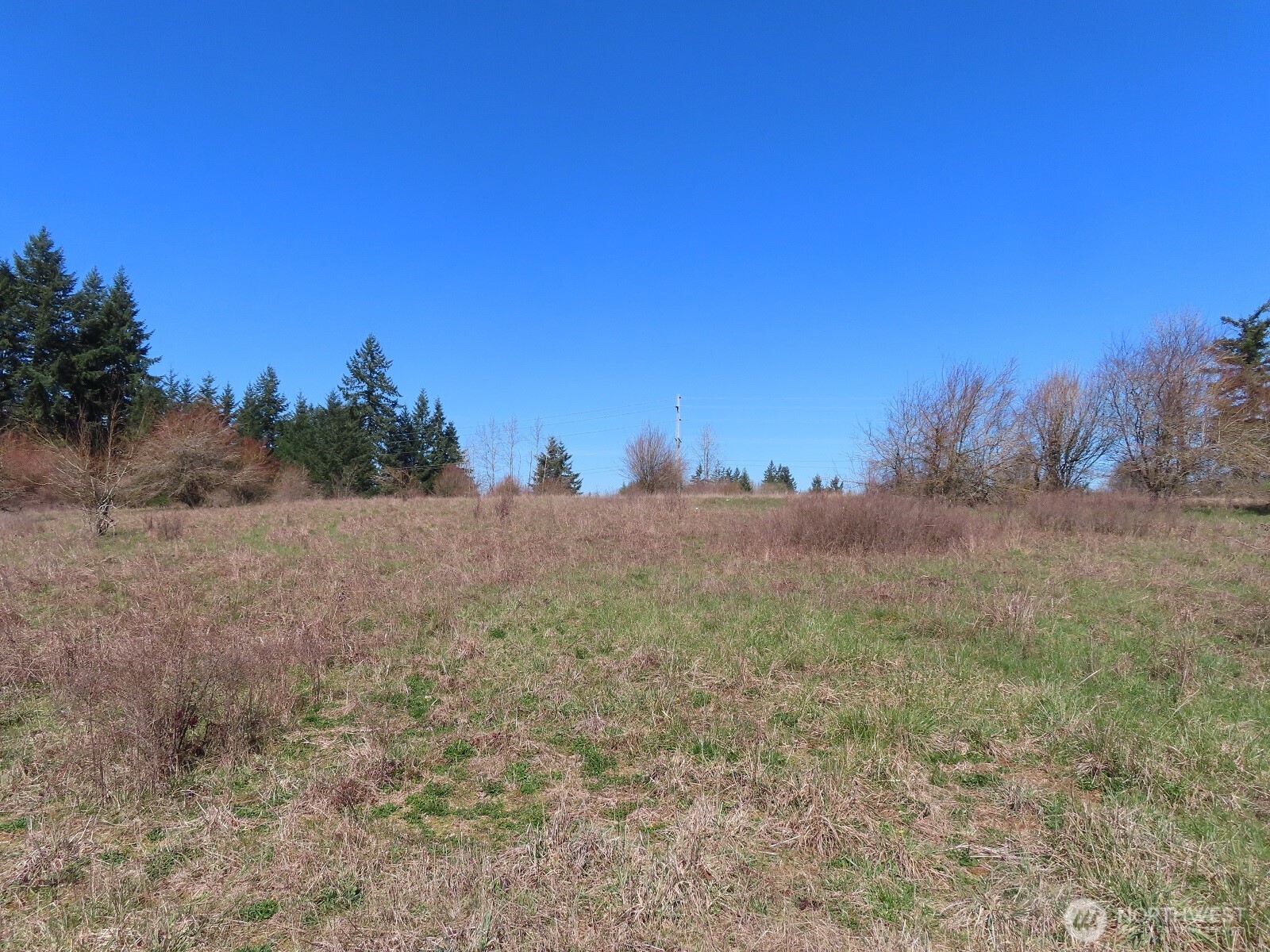 107 West Avery Road Napavine, WA 98532 - Photo 25 of 33 a view of a dry yard with trees