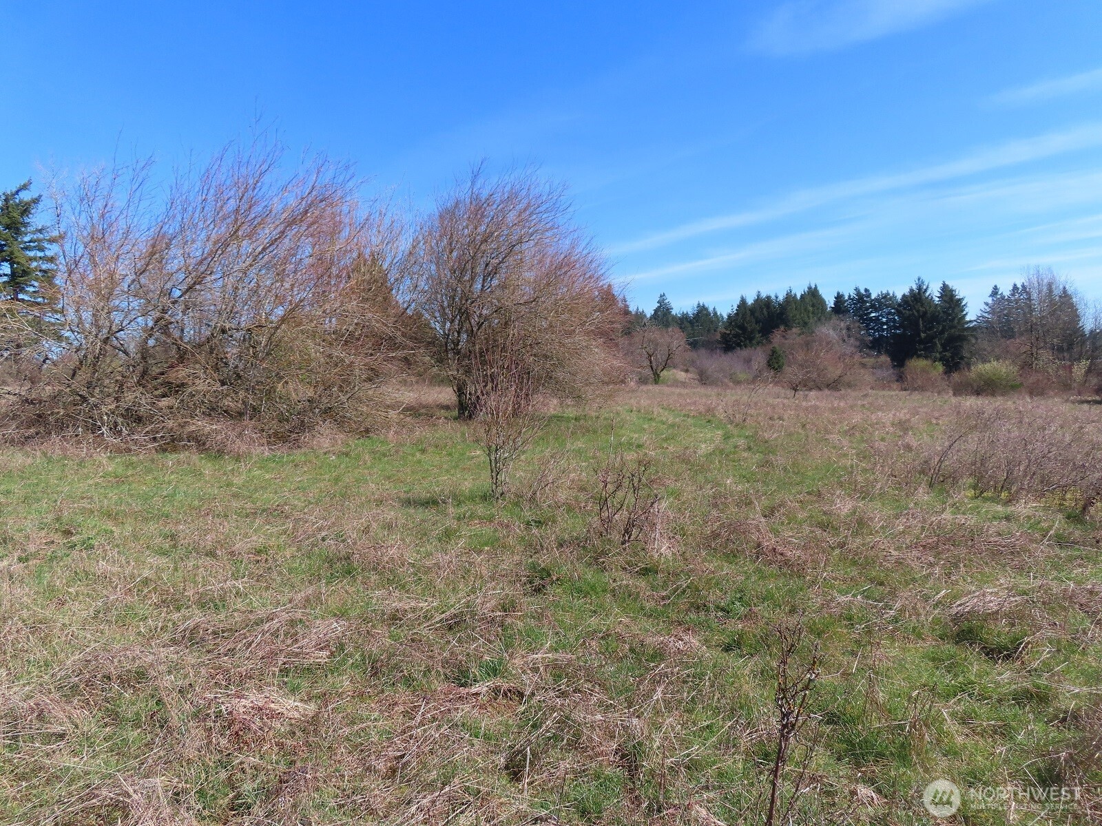 107 West Avery Road Napavine, WA 98532 - Photo 27 of 33 a view of a field with trees in the background