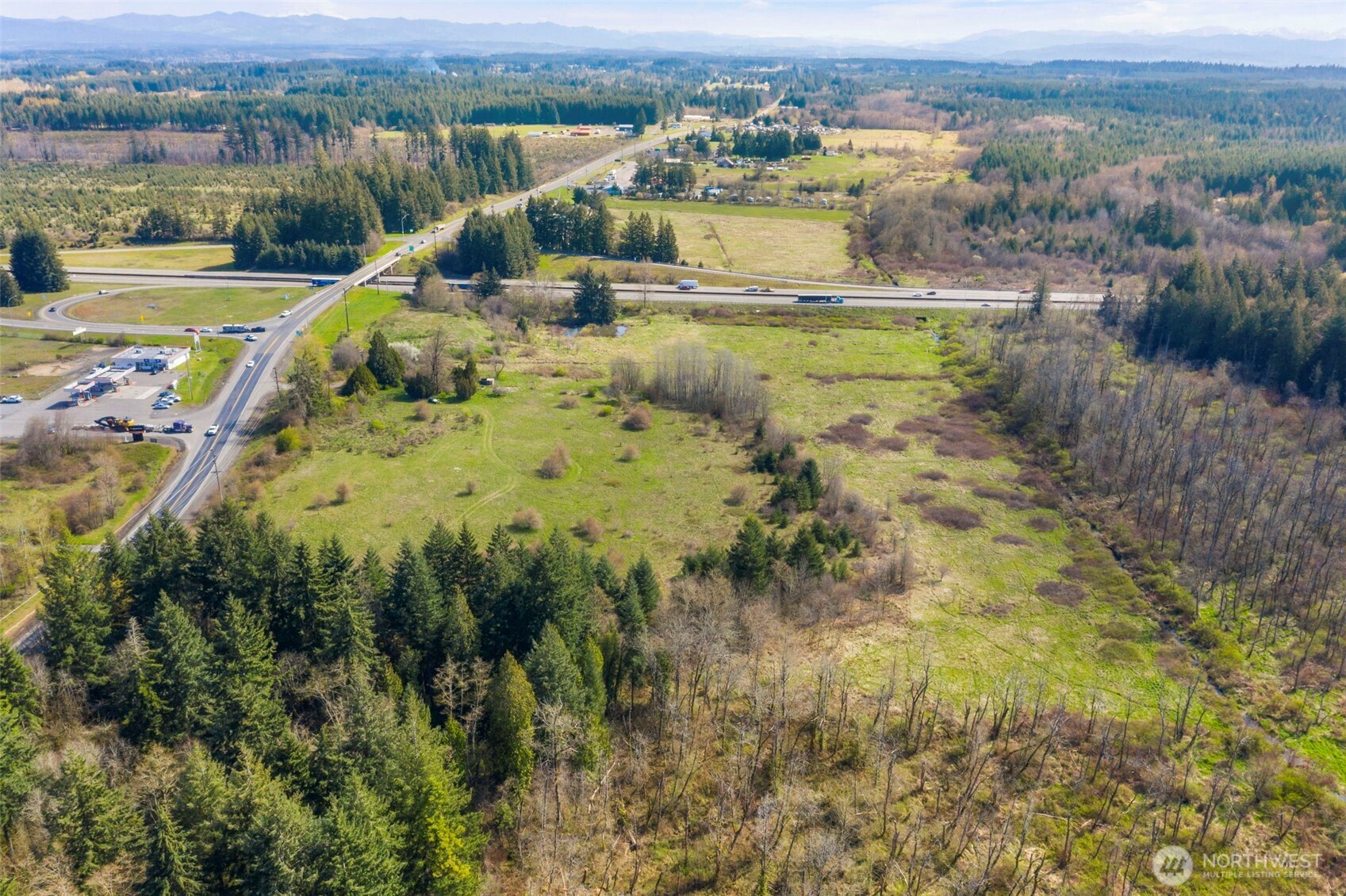 107 West Avery Road Napavine, WA 98532 - Photo 7 of 33 a view of a lake with a mountain in the background