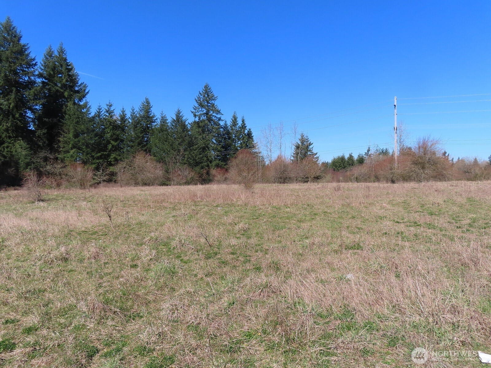 107 West Avery Road Napavine, WA 98532 - Photo 9 of 33 a view of beach and outdoor space