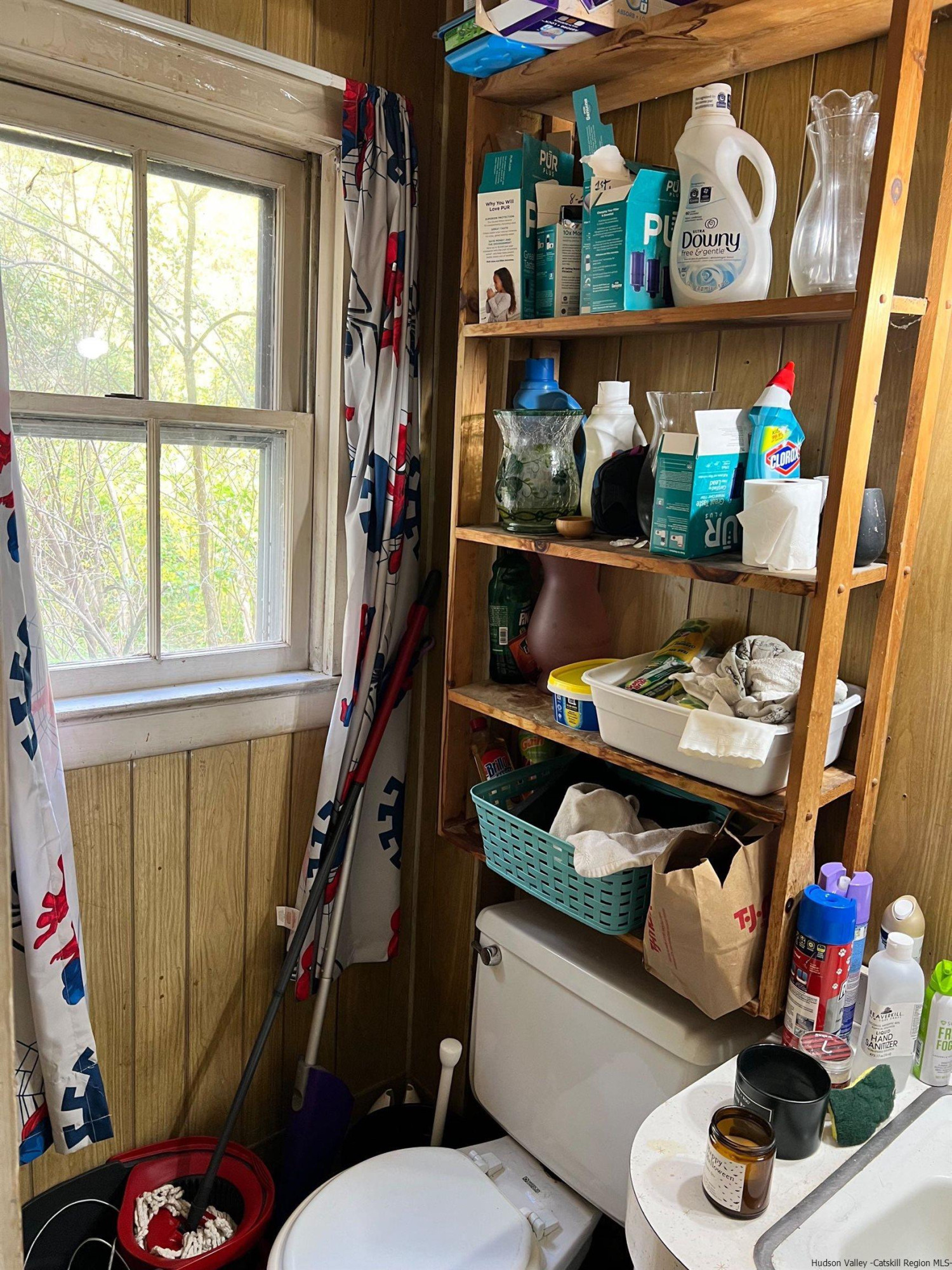 87 Dewitt Street Kingston, NY 12401 - Photo 23 of 33 a bathroom with a toilet and a shower curtain