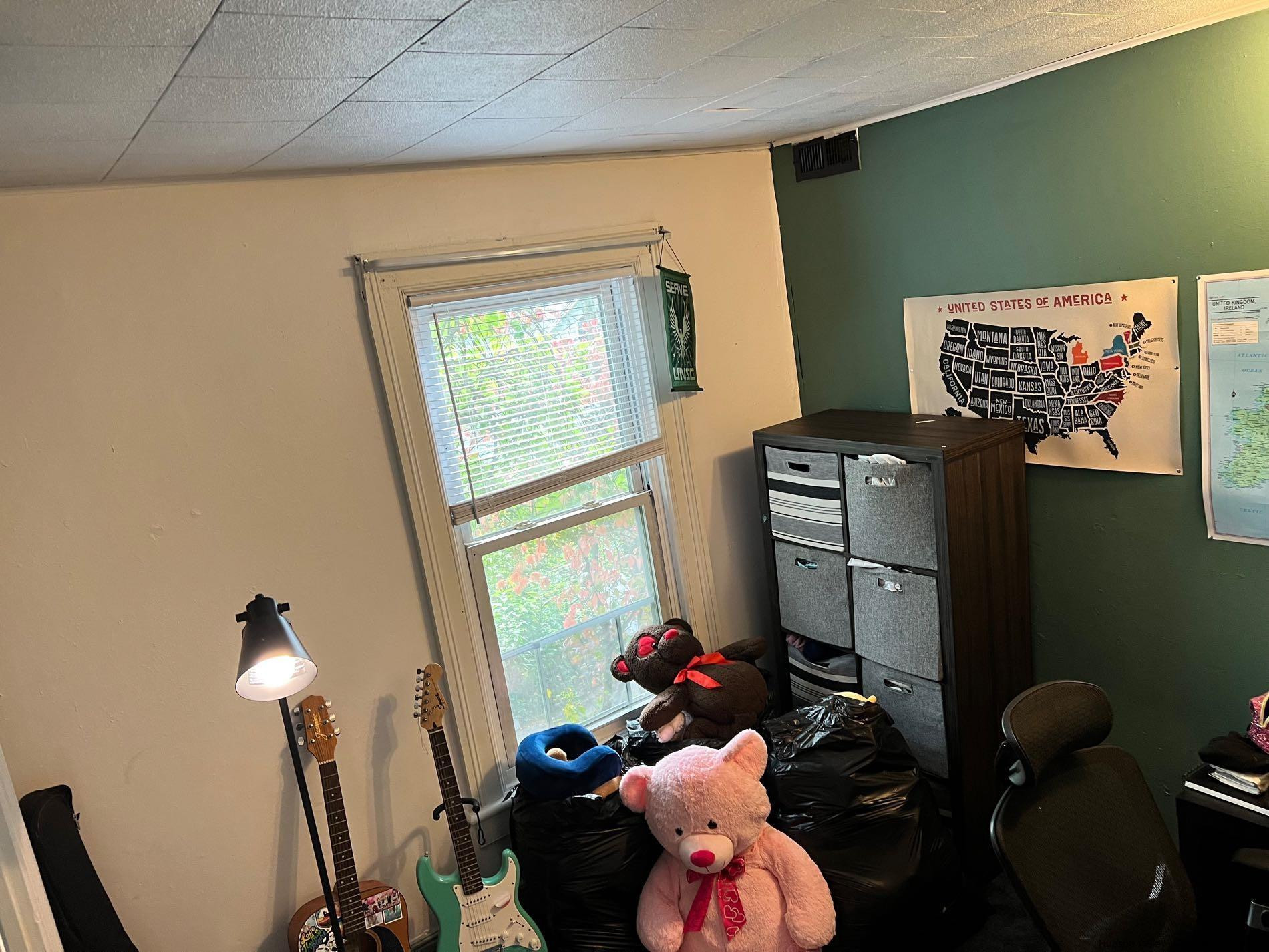 87 Dewitt Street Kingston, NY 12401 - Photo 25 of 33 a room with furniture and a window