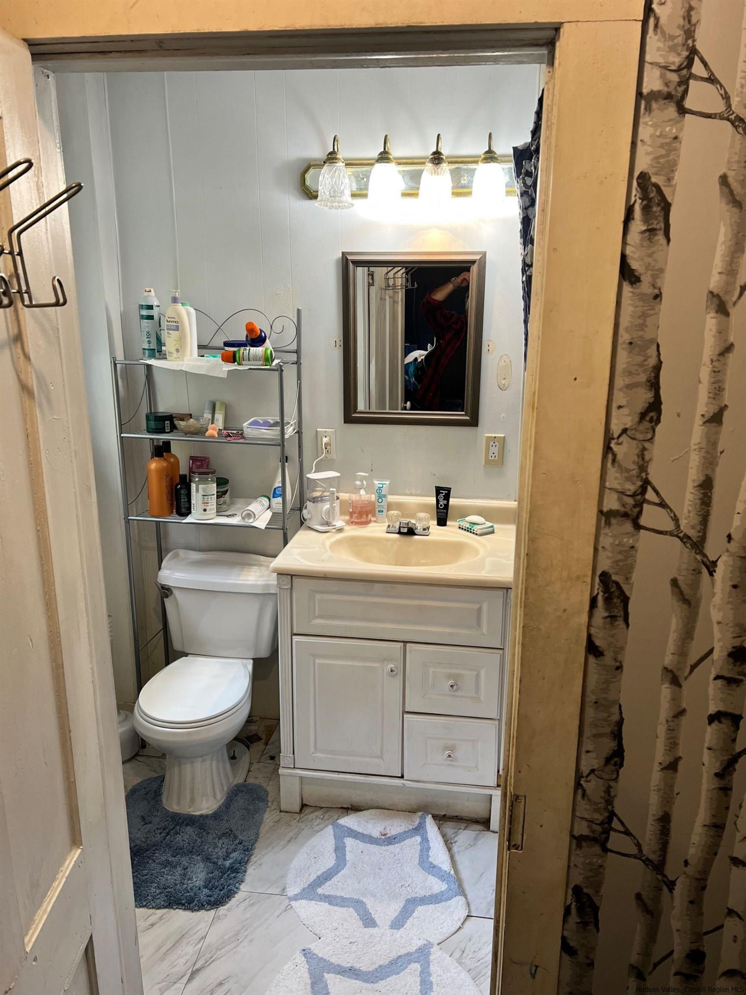 87 Dewitt Street Kingston, NY 12401 - Photo 27 of 33 a bathroom with a toilet sink and mirror