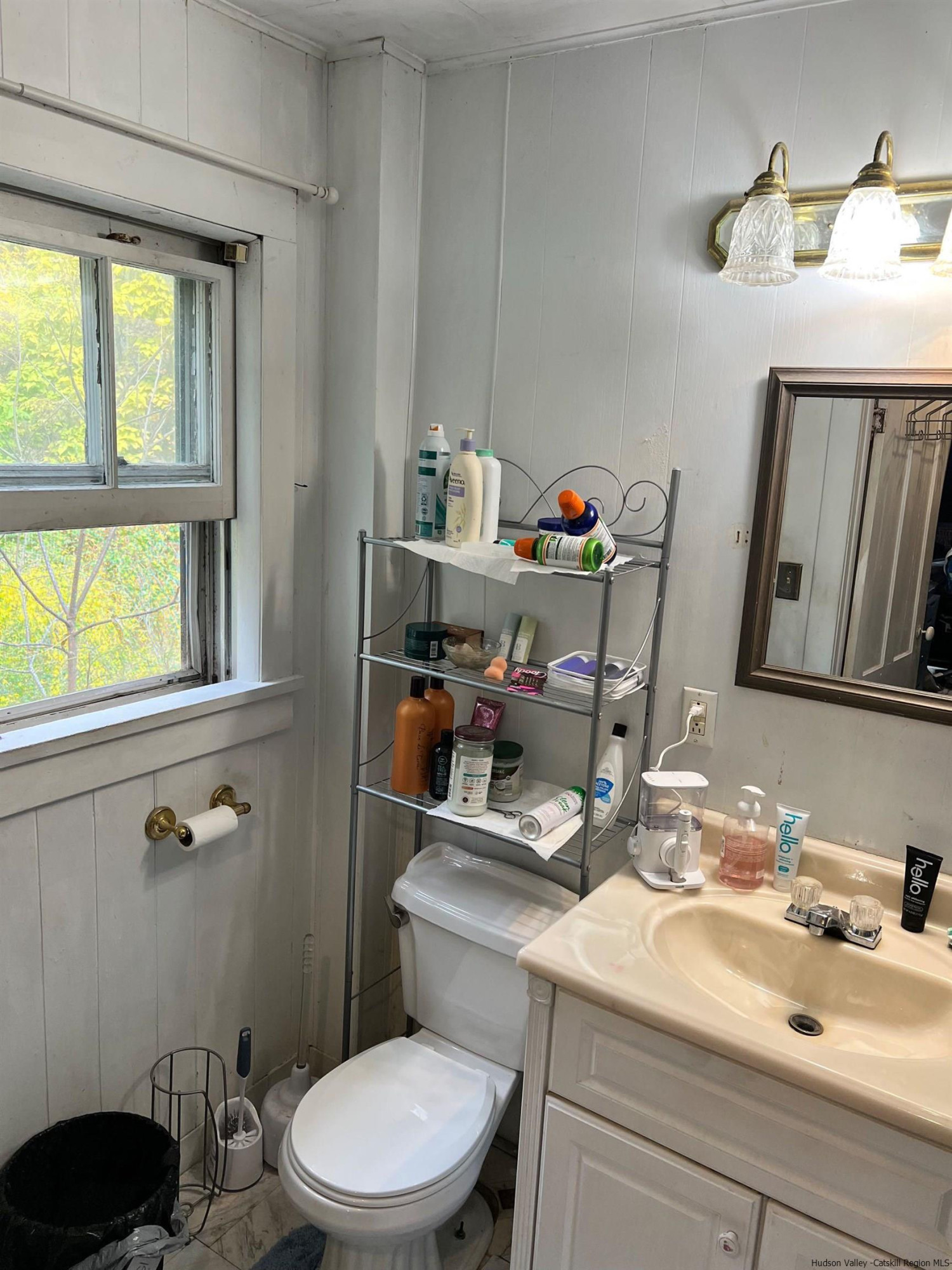 87 Dewitt Street Kingston, NY 12401 - Photo 28 of 33 a bathroom with a sink a toilet and a mirror