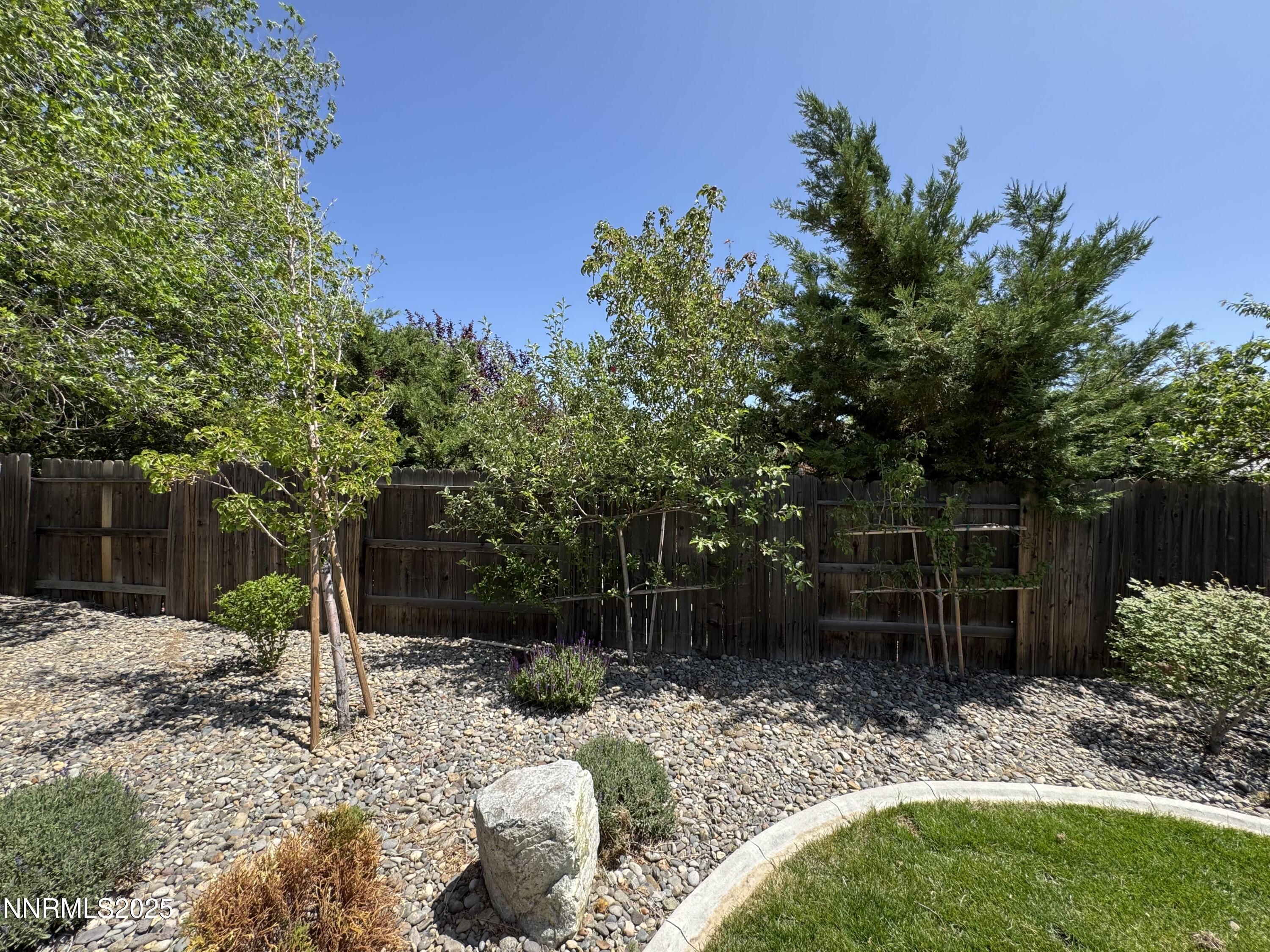 6559 Fall River Circle Reno, NV 89523 - Photo 26 of 35 a backyard of a house with lots of green space