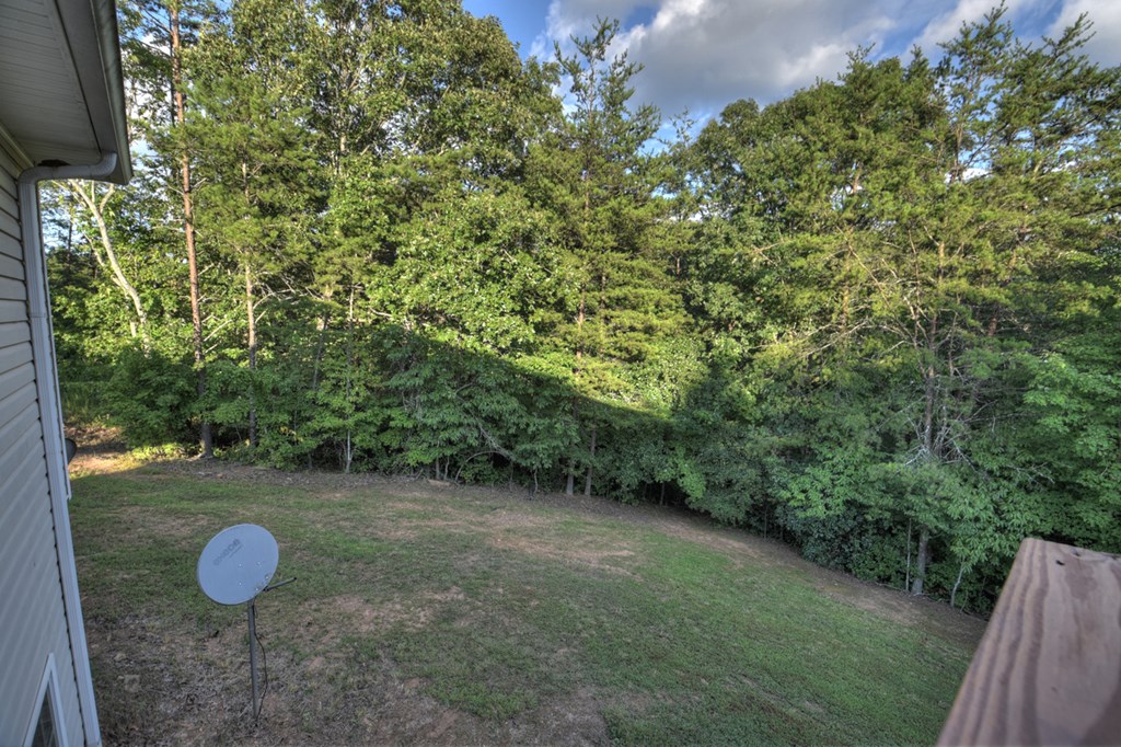 338 Johnson Cove Road Copperhill, TN 37317 - Photo 24 of 33 Gallery Image 24