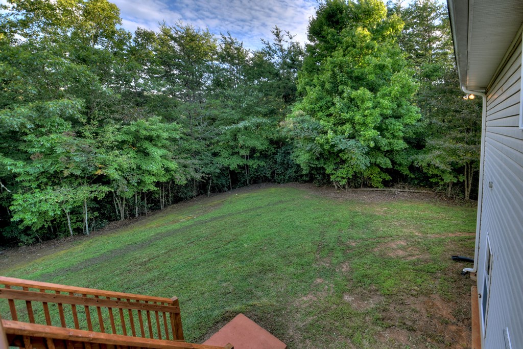 338 Johnson Cove Road Copperhill, TN 37317 - Photo 25 of 33 Gallery Image 25