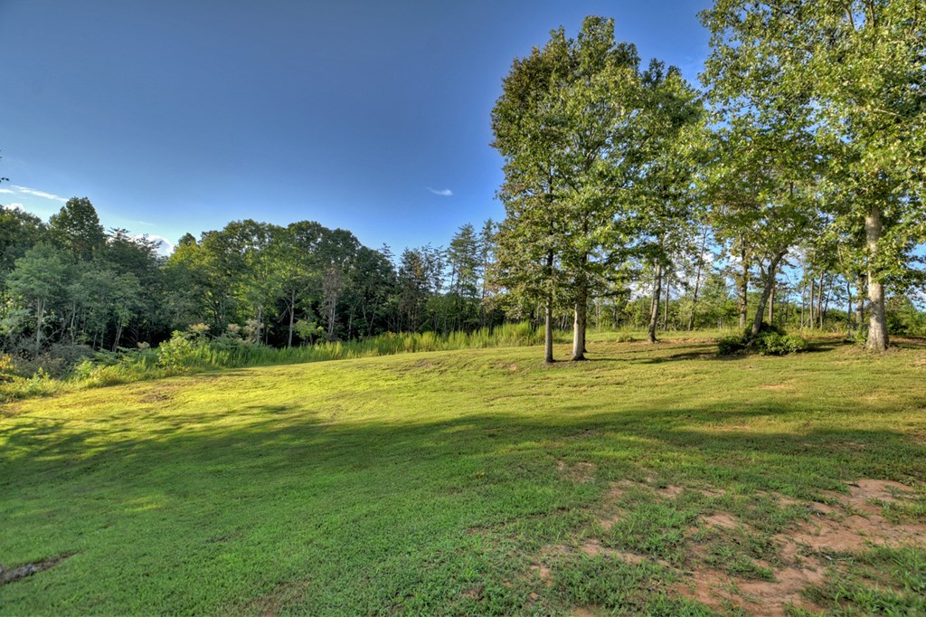 338 Johnson Cove Road Copperhill, TN 37317 - Photo 3 of 33 Gallery Image 3