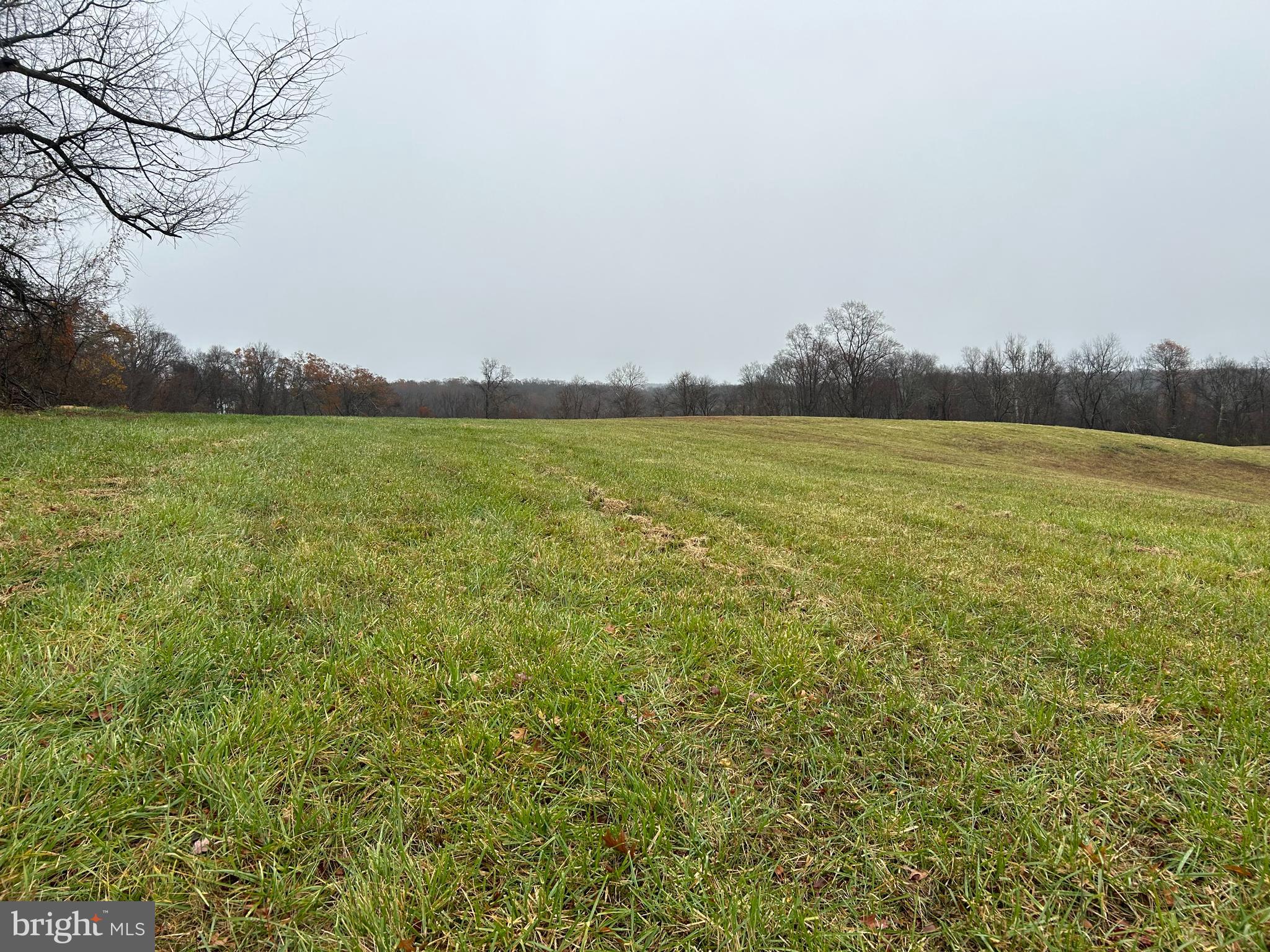 Polecat Hill Road Middleburg, VA 20117 - Photo 1 of 15 Gallery Image 1