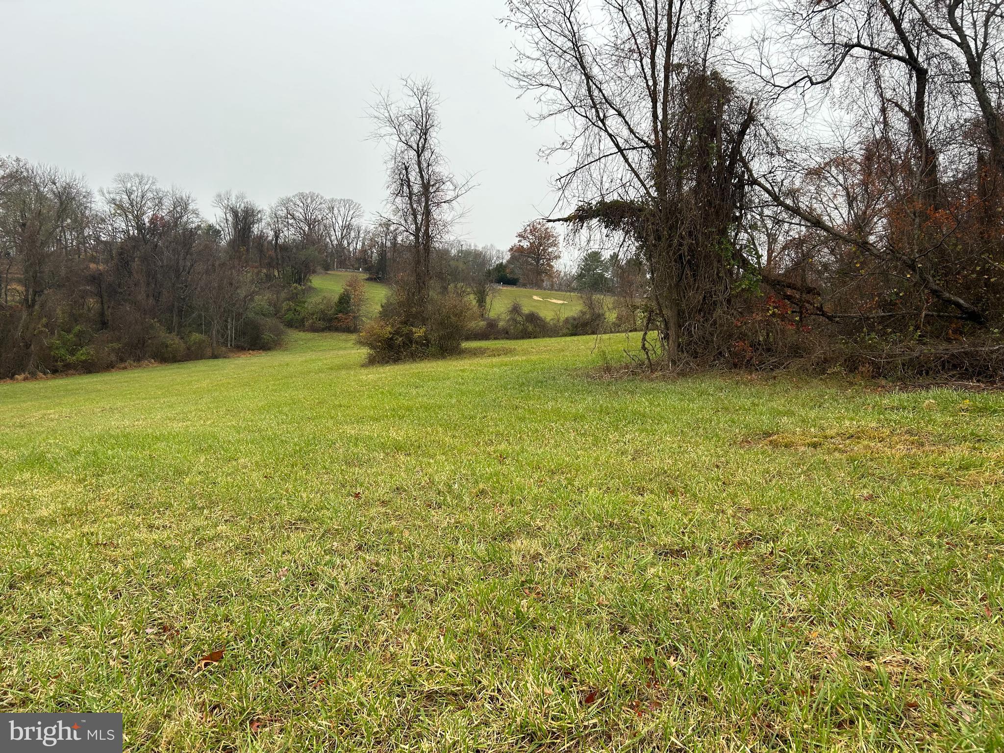 Polecat Hill Road Middleburg, VA 20117 - Photo 11 of 15 Gallery Image 11