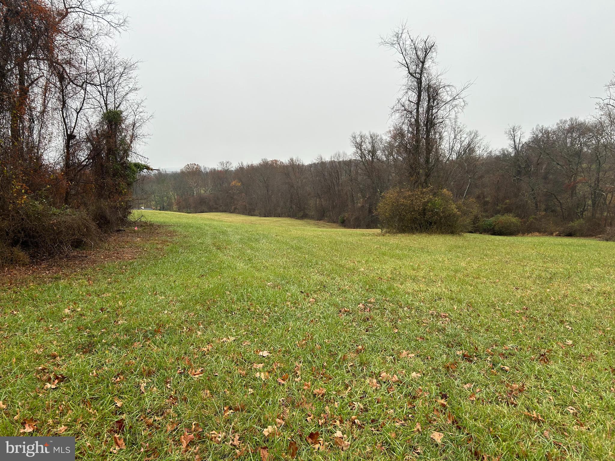 Polecat Hill Road Middleburg, VA 20117 - Photo 3 of 15 Gallery Image 3
