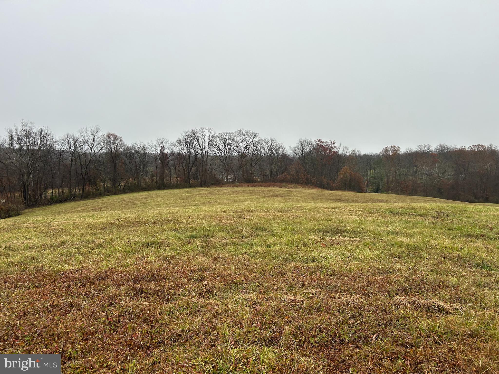 Polecat Hill Road Middleburg, VA 20117 - Photo 4 of 15 Gallery Image 4