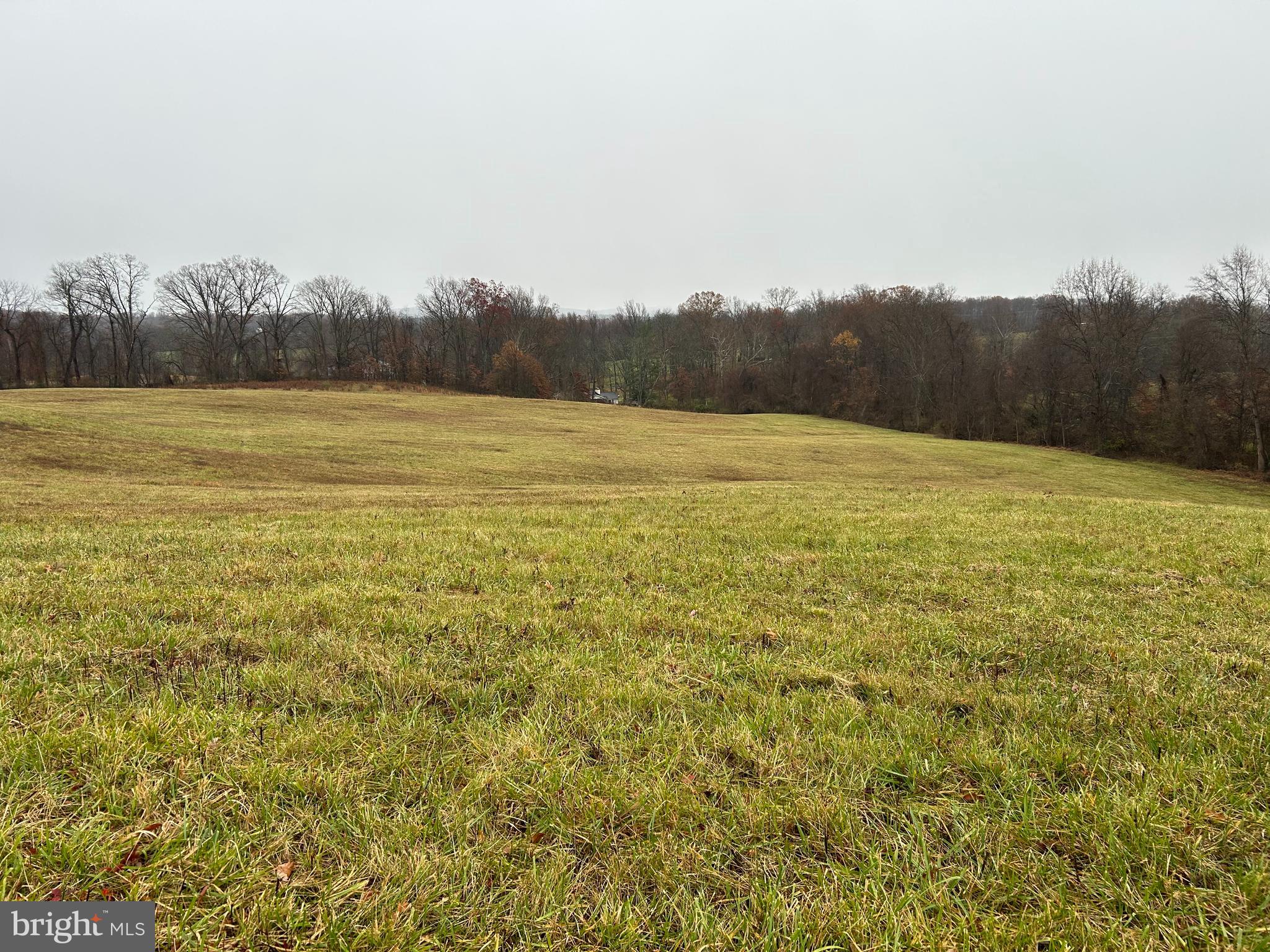 Polecat Hill Road Middleburg, VA 20117 - Photo 5 of 15 Gallery Image 5