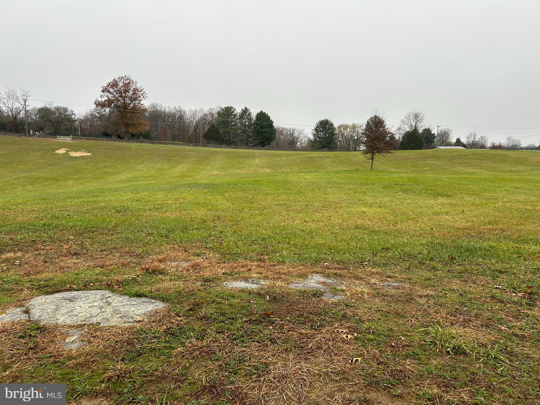 Polecat Hill Road Middleburg, VA 20117 - Photo 7 of 15 Gallery Image 7