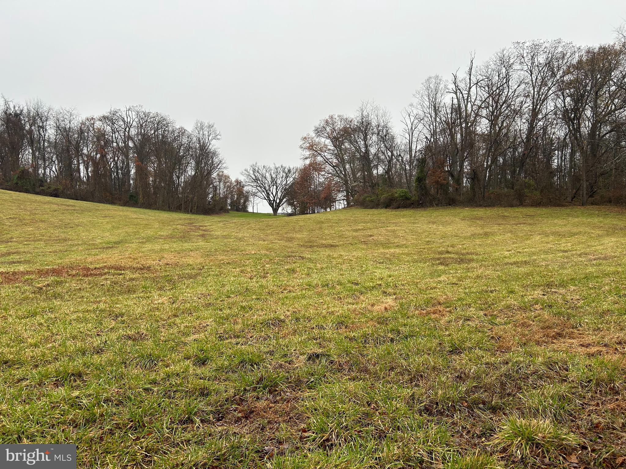 Polecat Hill Road Middleburg, VA 20117 - Photo 8 of 15 Gallery Image 8