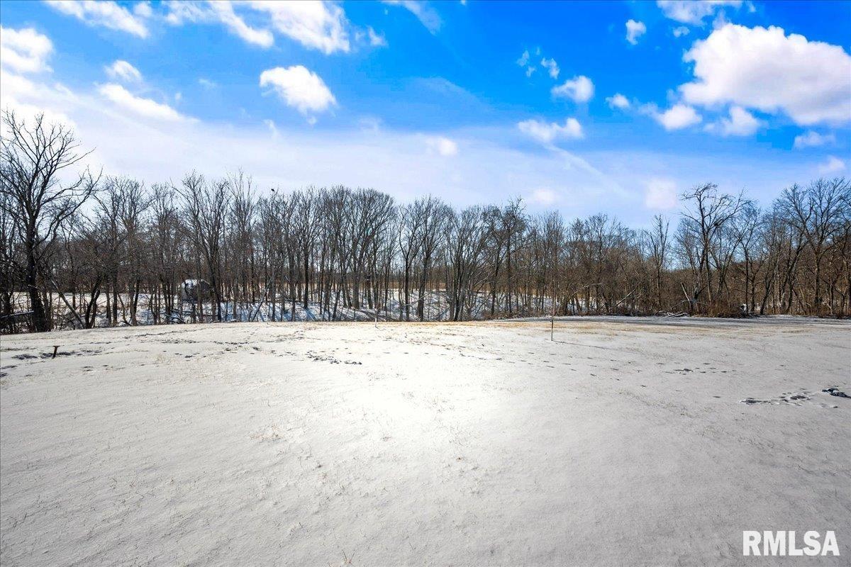 9100 North Deer Trail Mapleton, IL 61547 - Photo 29 of 42