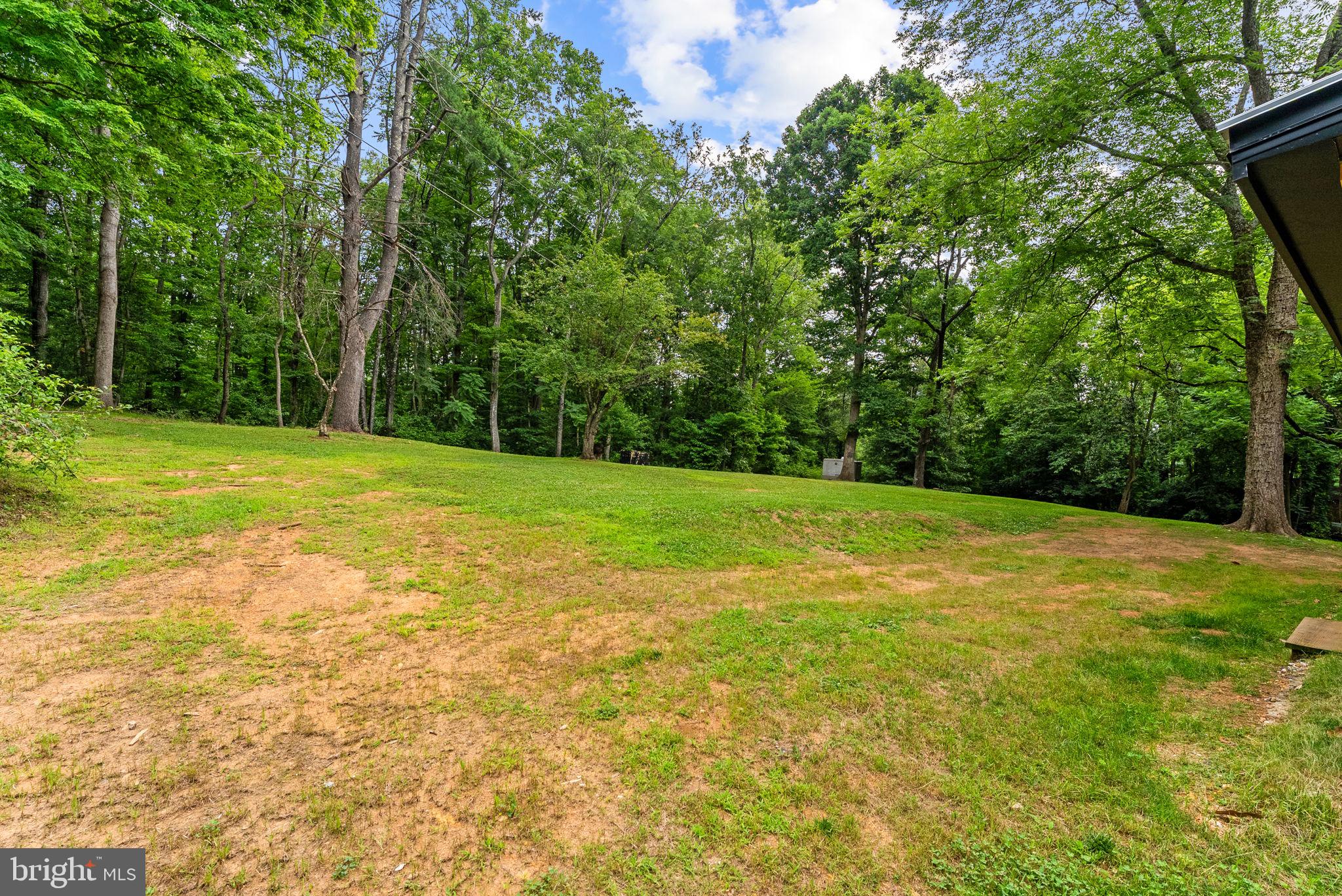 2303 West Hoover Road Haywood, VA 22722 - Photo 49 of 69