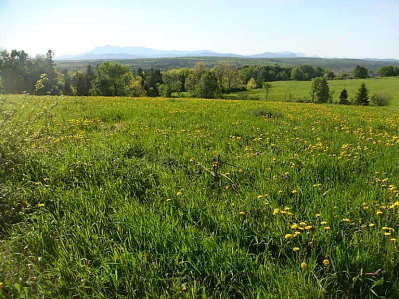 On On Gantnier Road Benedicta, ME 04733 - Photo 5 of 8 Land/Lot.
