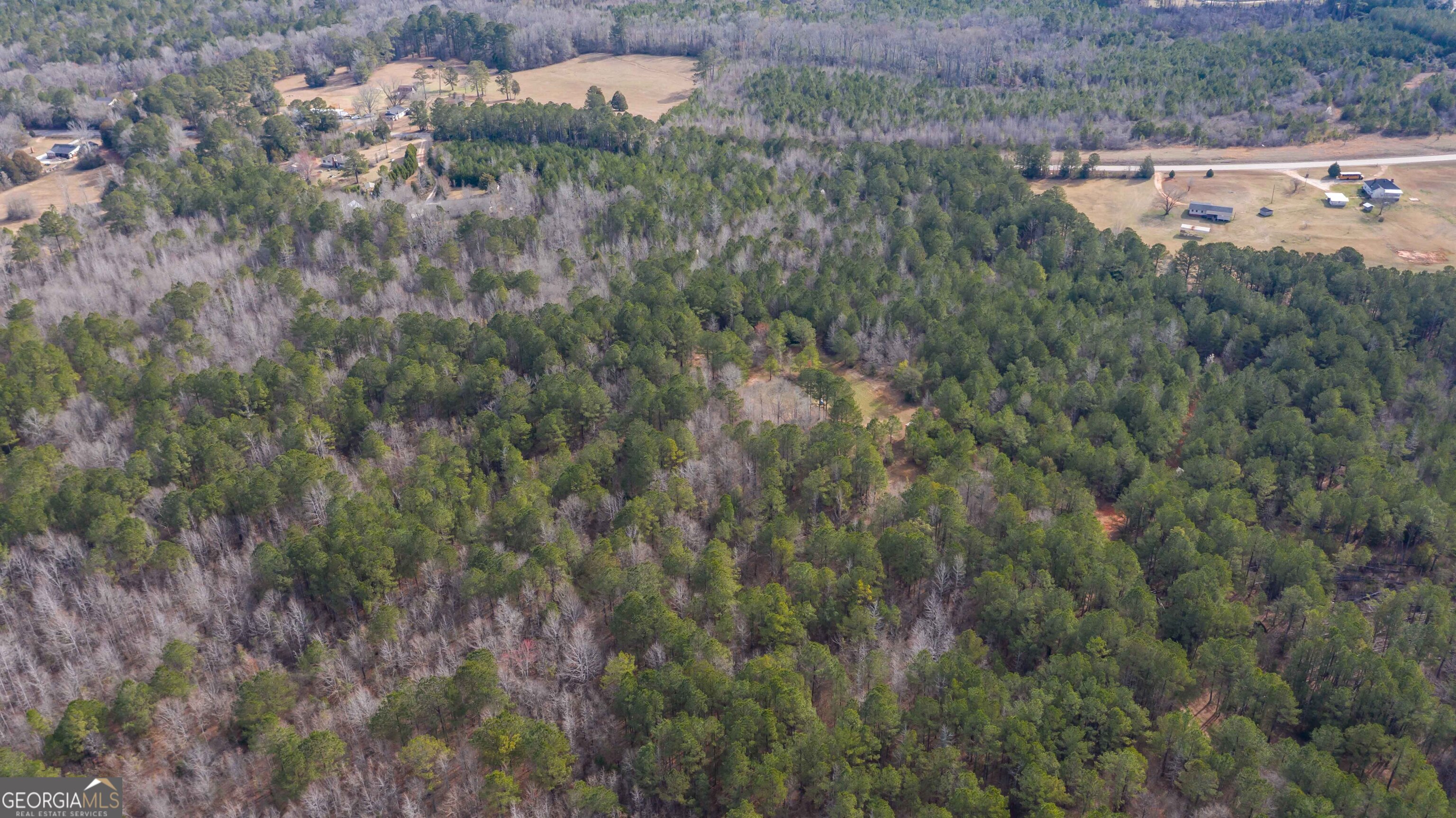 0 Hamilton Road Pine Mountain, GA 31822 - Photo 2 of 10 a view of a dry yard