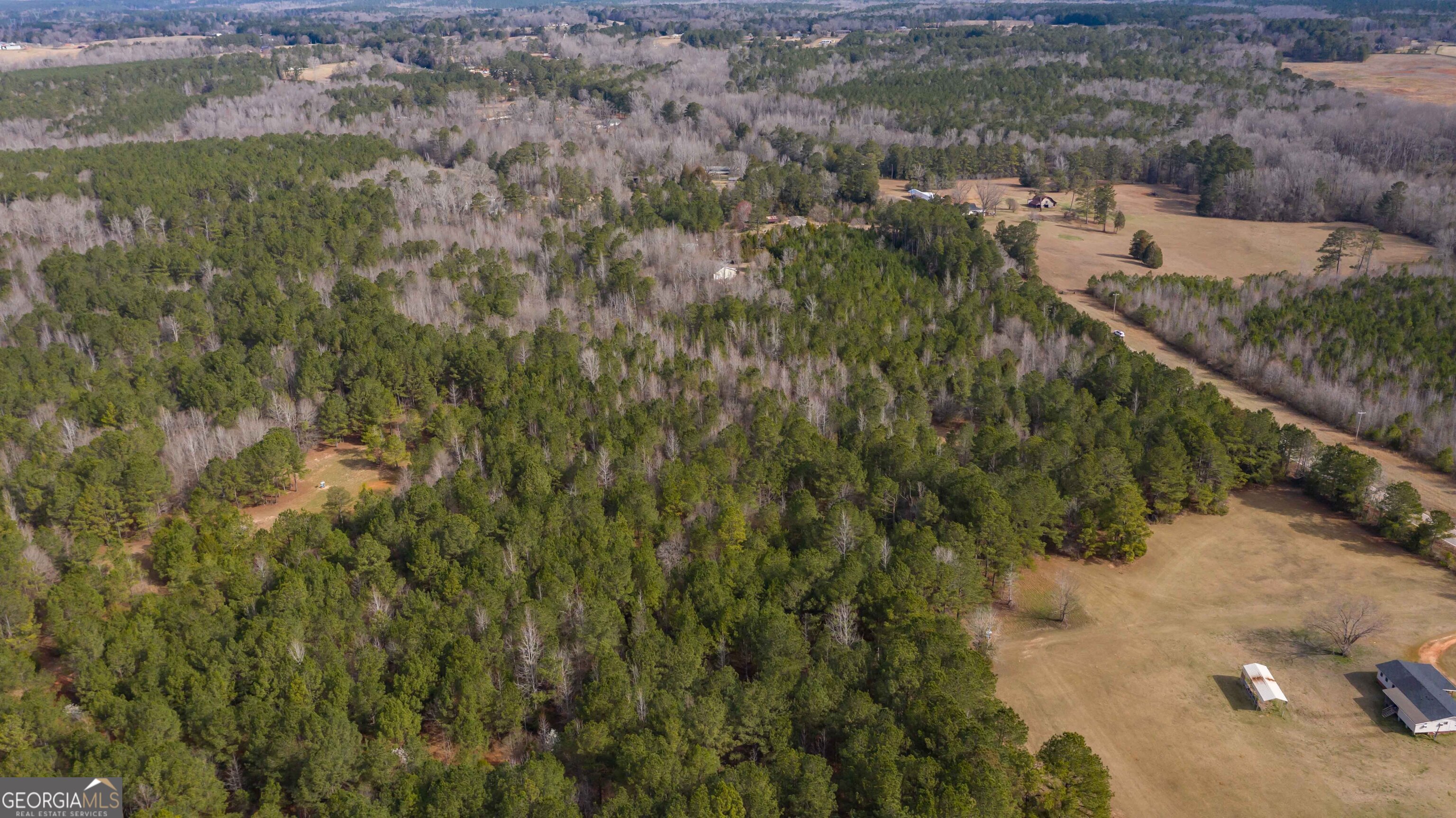 0 Hamilton Road Pine Mountain, GA 31822 - Photo 4 of 10 an aerial view of residential house with outdoor space