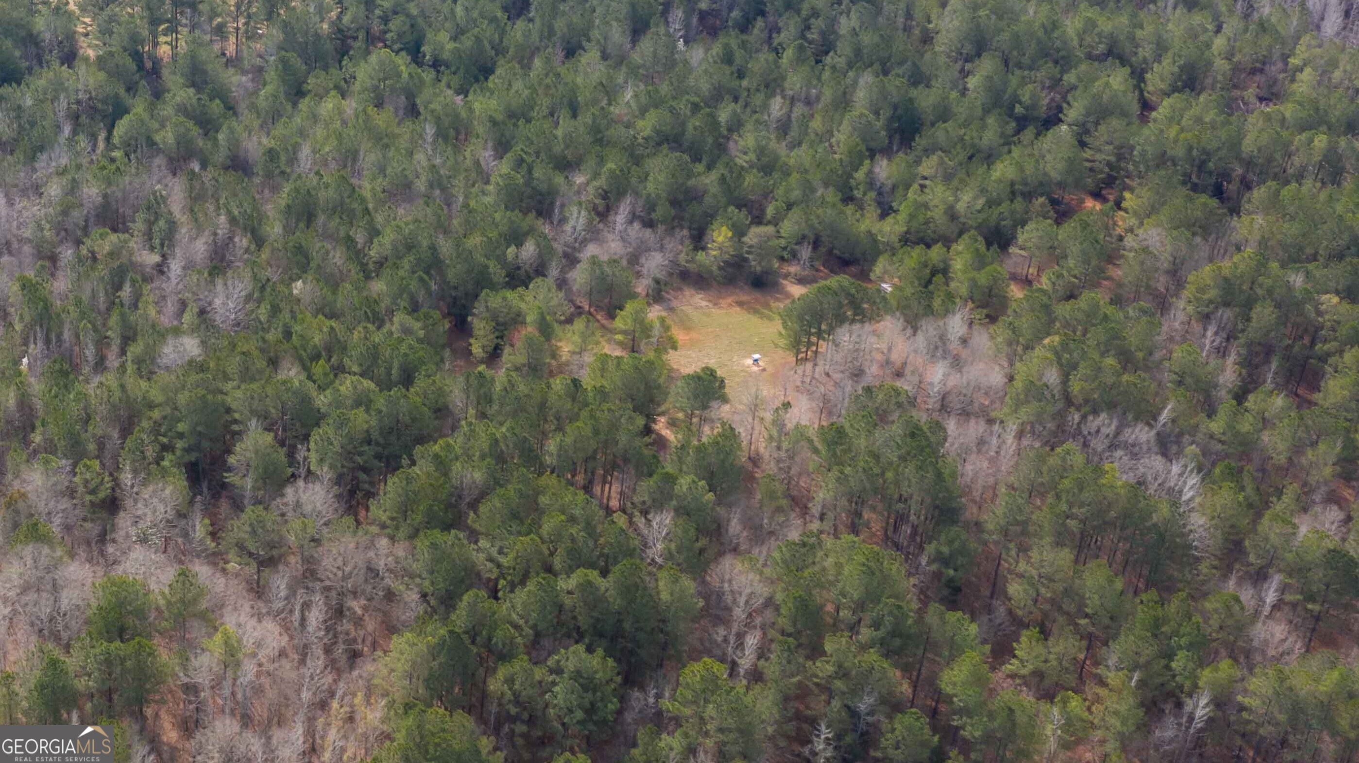 0 Hamilton Road Pine Mountain, GA 31822 - Photo 6 of 10 a view of a forest with a forest