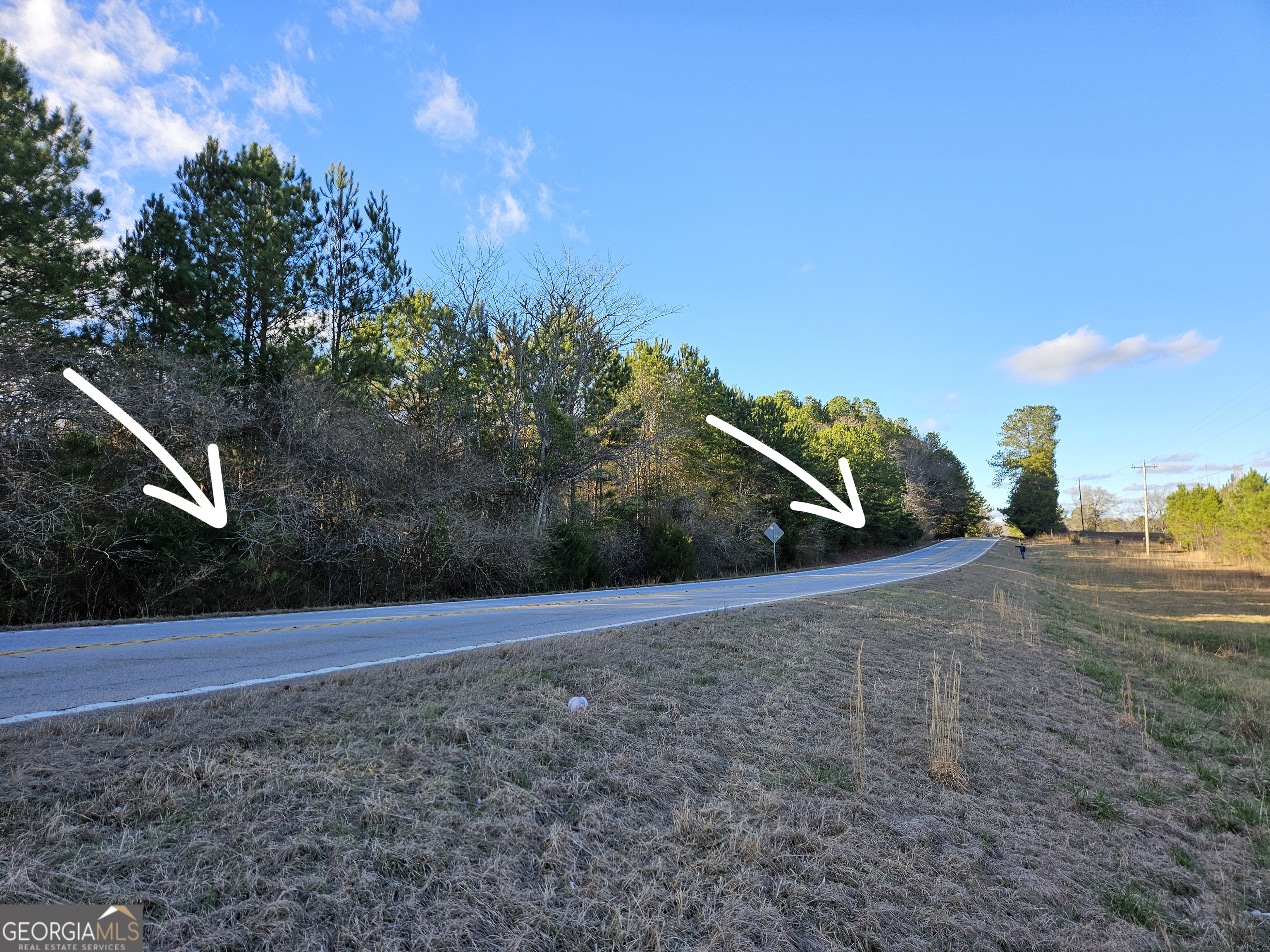 0 Hamilton Road Pine Mountain, GA 31822 - Photo 7 of 10 a view of a basketball court
