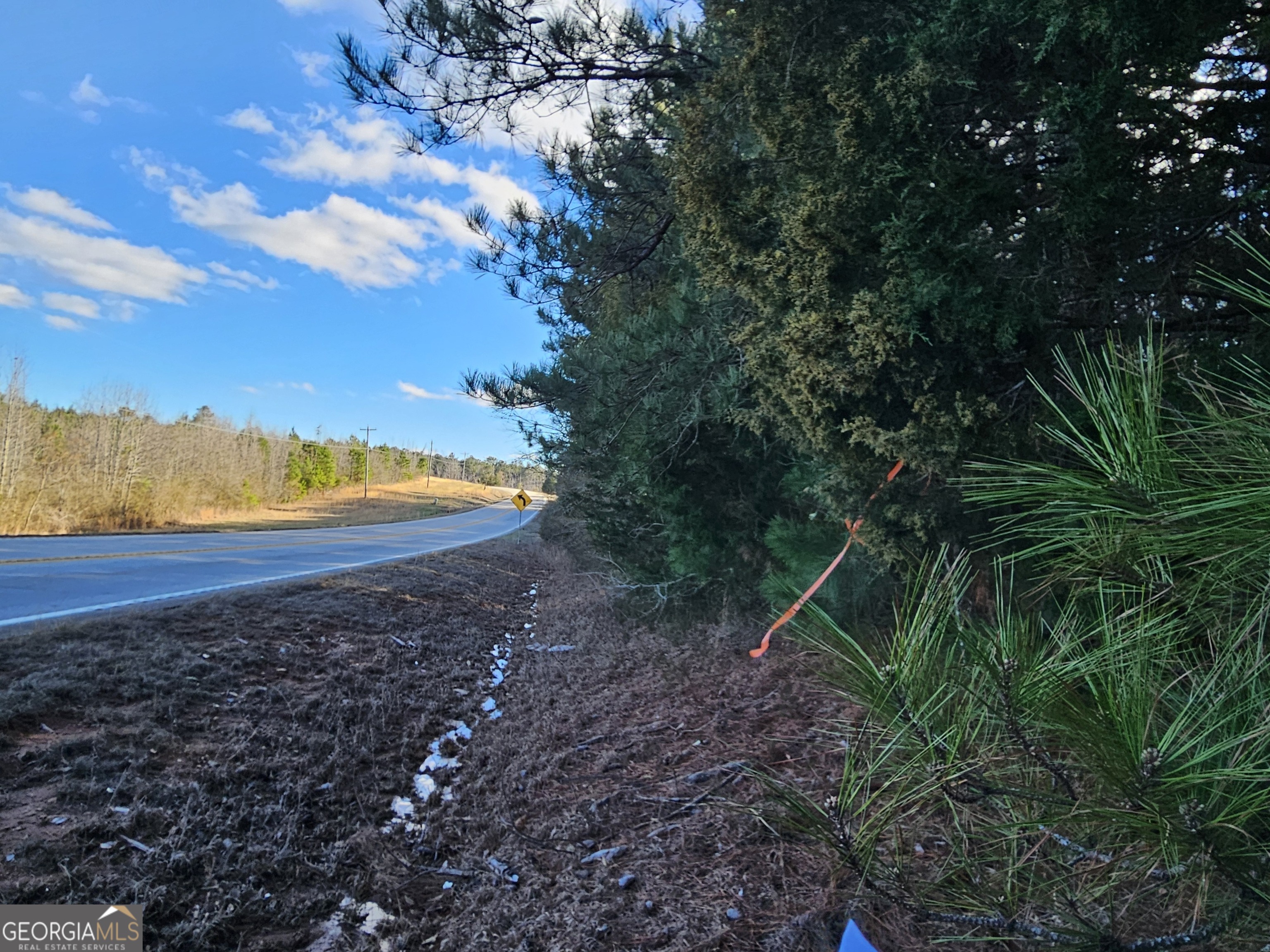 0 Hamilton Road Pine Mountain, GA 31822 - Photo 8 of 10 a view of an outdoor space and a yard
