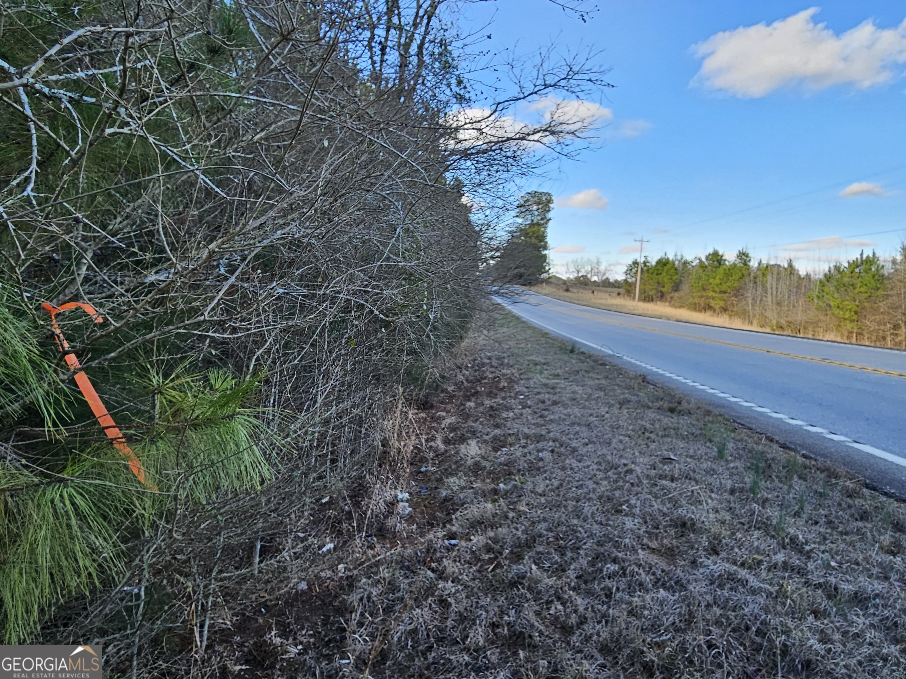 0 Hamilton Road Pine Mountain, GA 31822 - Photo 9 of 10 a view of a yard