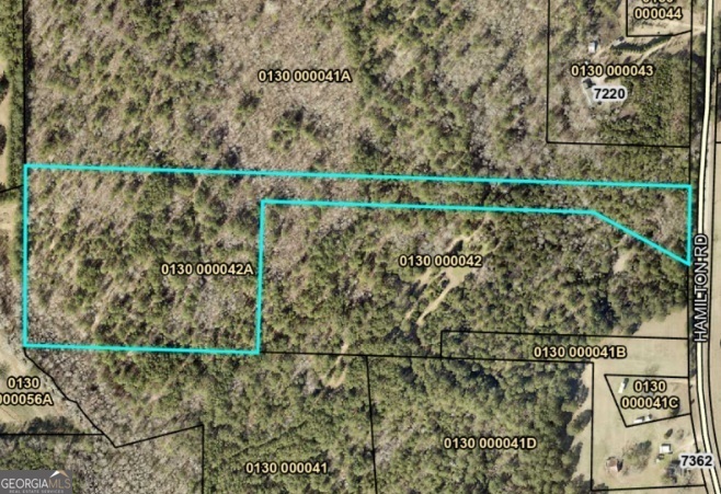 0 Hamilton Road Pine Mountain, GA 31822 - Photo 10 of 10 a view of a pathway