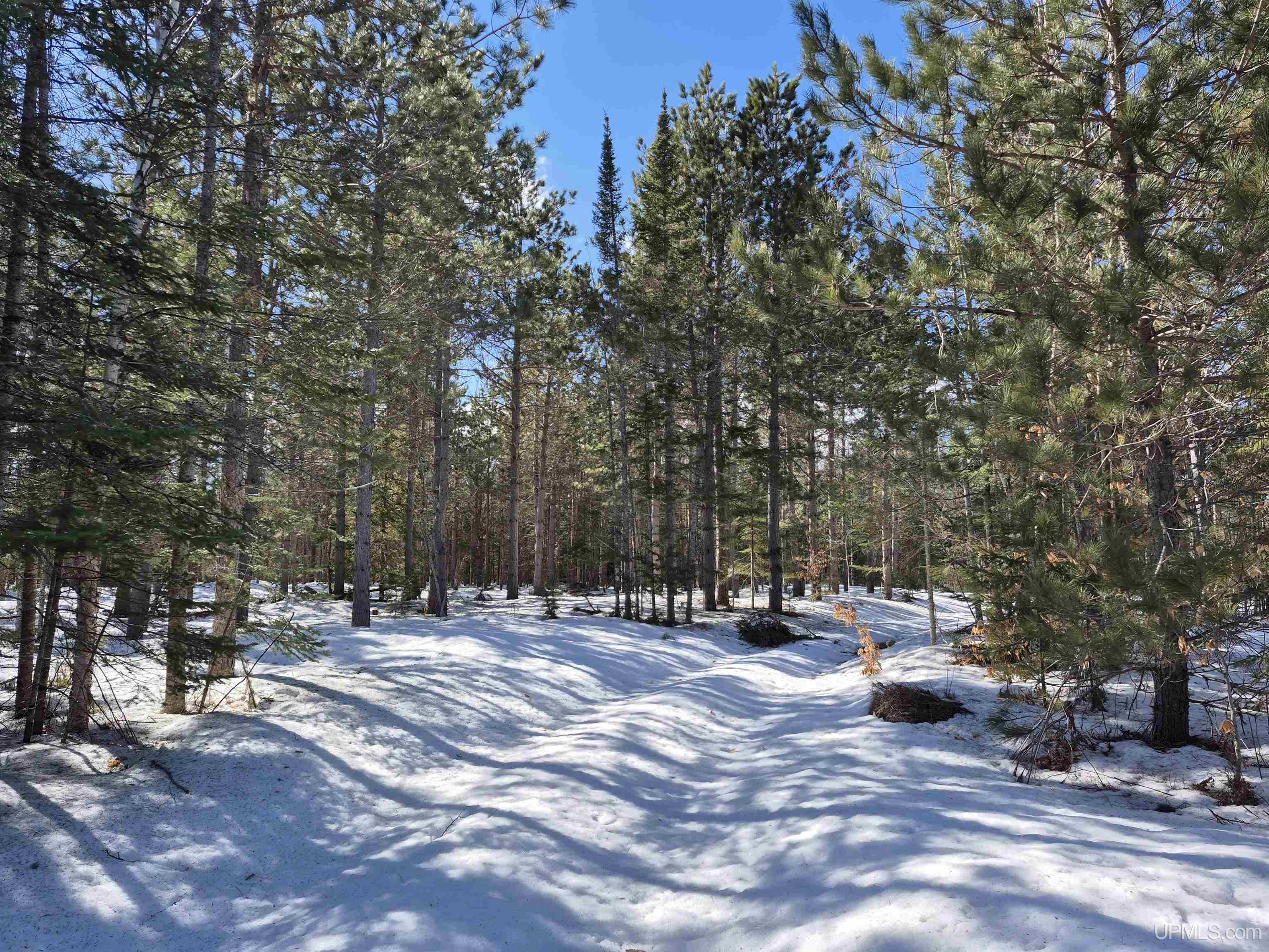 40-acres Off Flodin Road Manistique, MI 49854 - Photo 14 of 23