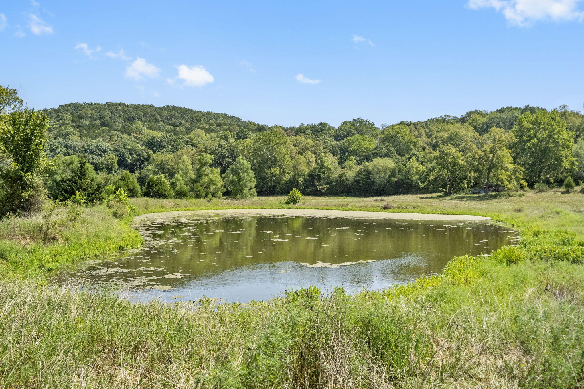 16311 Sunburst Road Lebanon, MO 65536 - Photo 34 of 42 34-web-or-mls-DSC03980