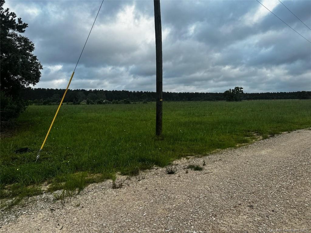 1427 Grantham Road Deridder, LA 70634 - Photo 3 of 4