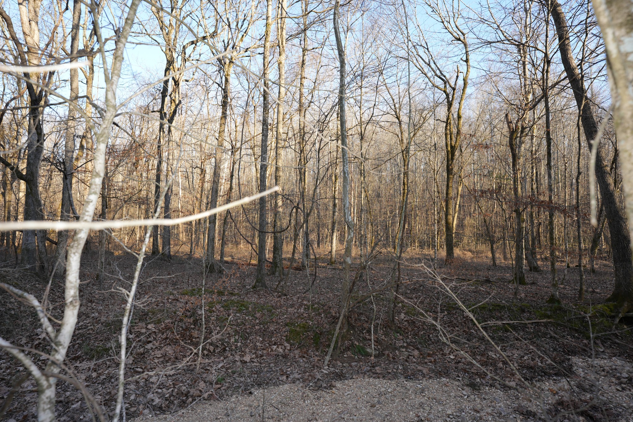 2 John Ross Hollow Road Erin, TN 37061 - Photo 13 of 36 a view of an outdoor space with seating area
