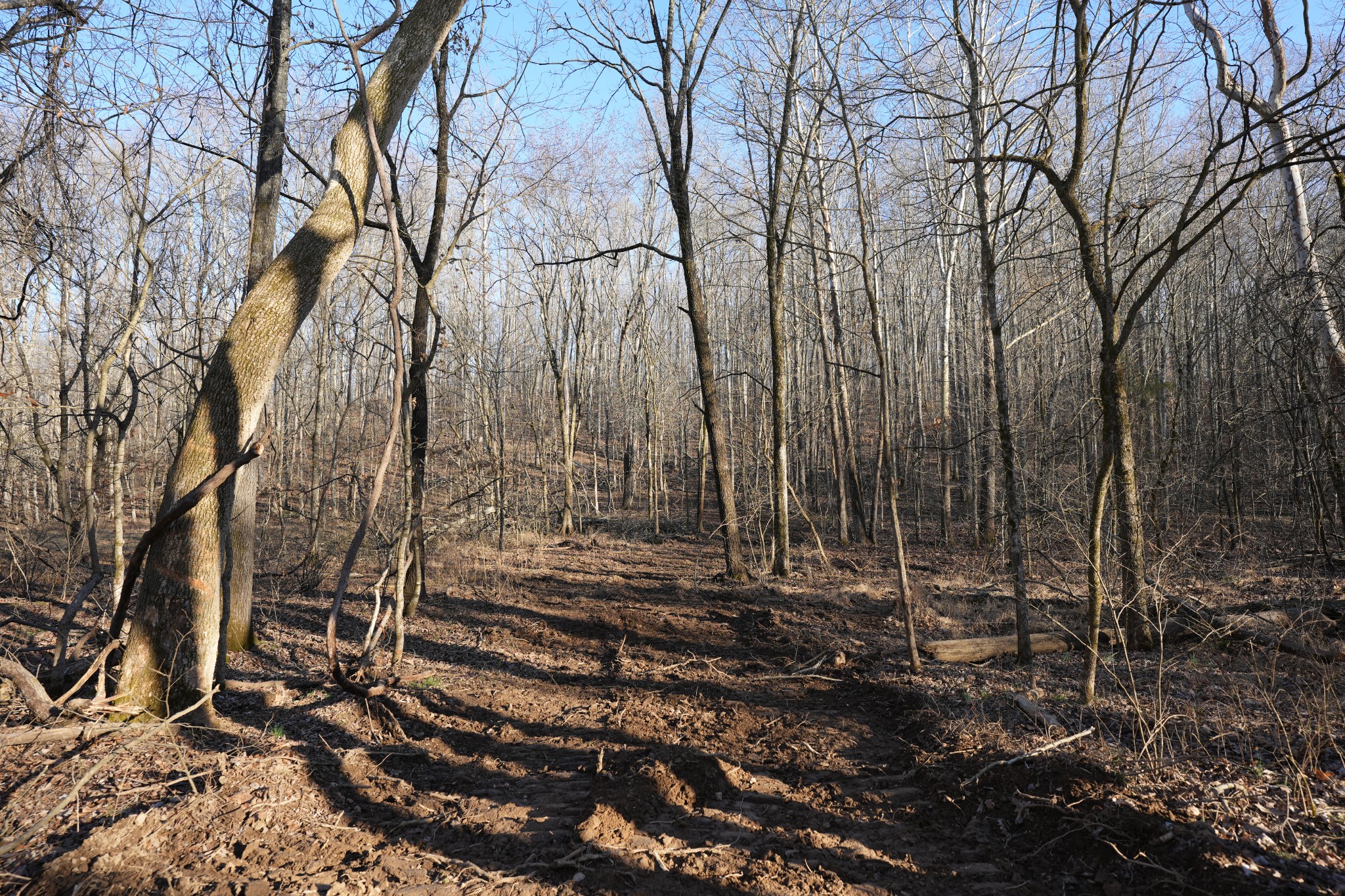 2 John Ross Hollow Road Erin, TN 37061 - Photo 17 of 36 a view of outdoor space with a yard