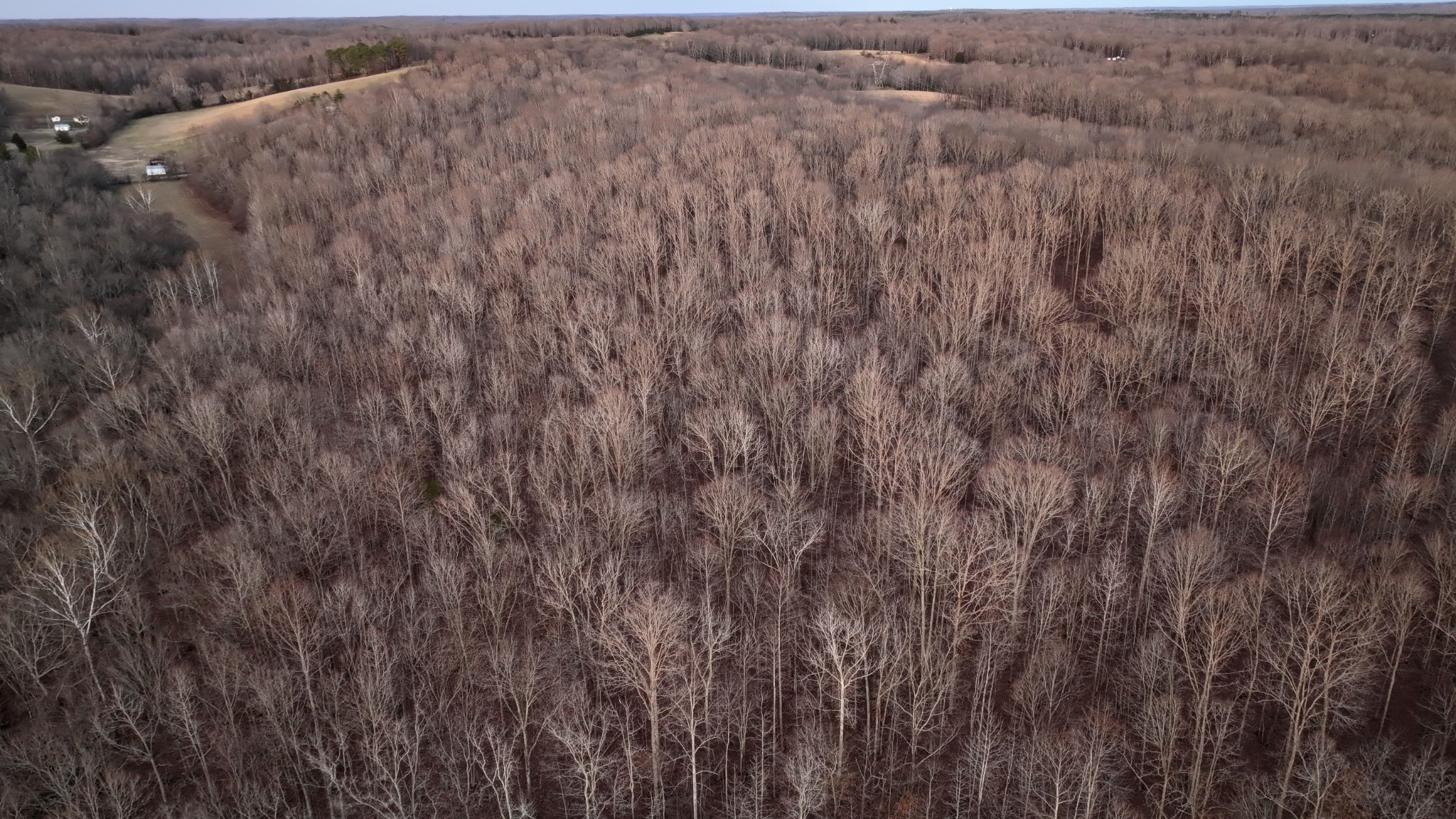 2 John Ross Hollow Road Erin, TN 37061 - Photo 18 of 36 a view of a dry field