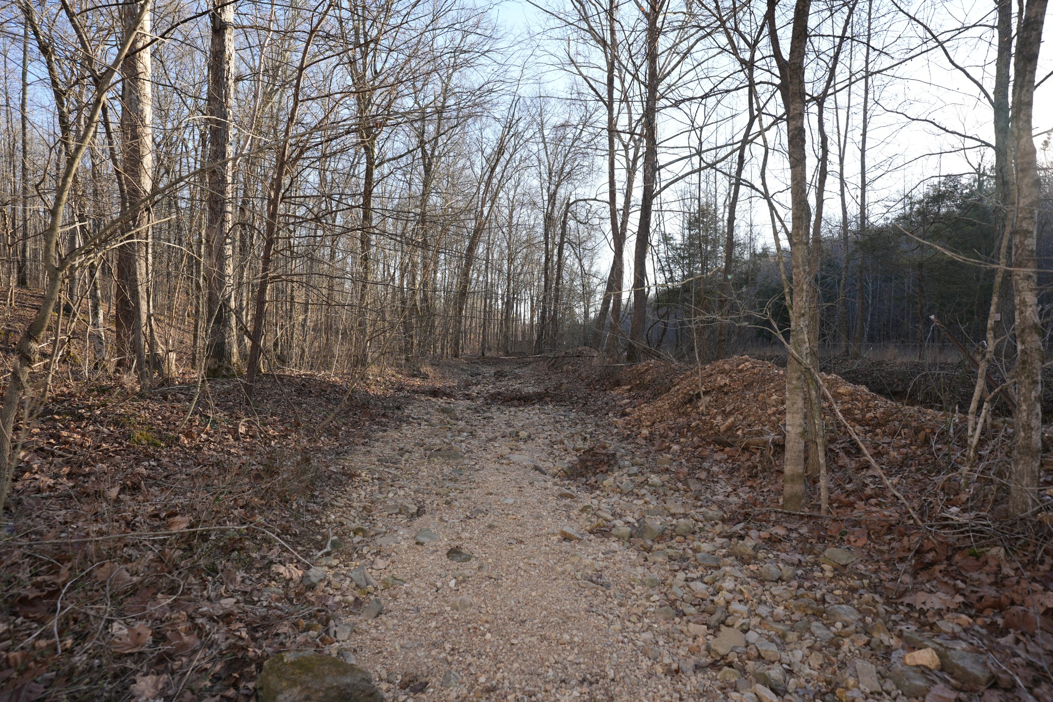 2 John Ross Hollow Road Erin, TN 37061 - Photo 23 of 36 a backyard of a house with lots of green space