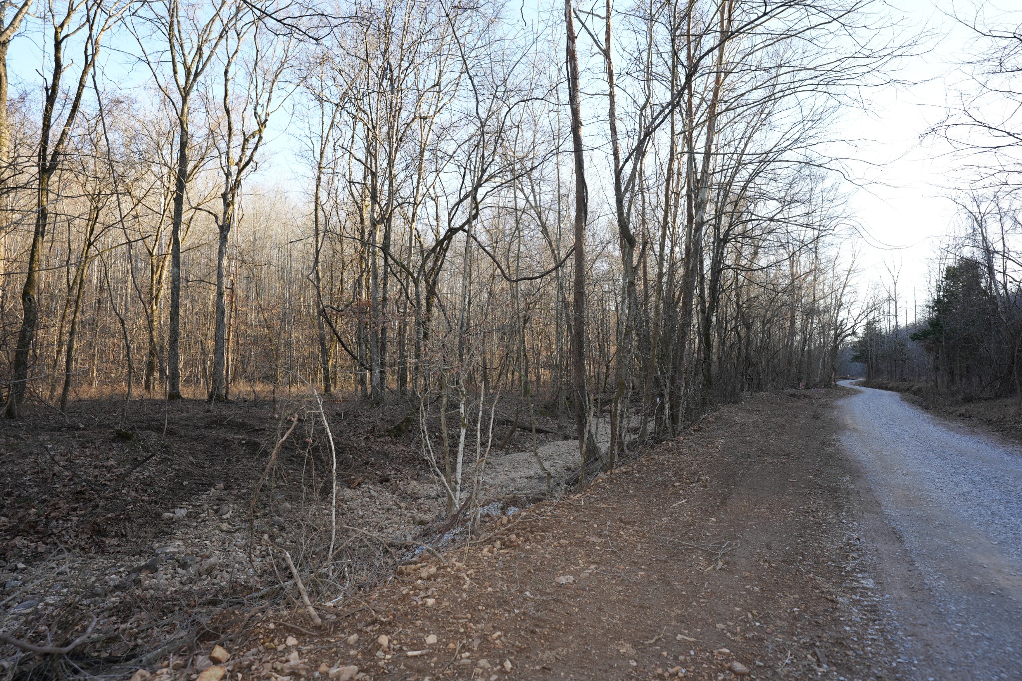 2 John Ross Hollow Road Erin, TN 37061 - Photo 24 of 36 a backyard of a house with lots of green space