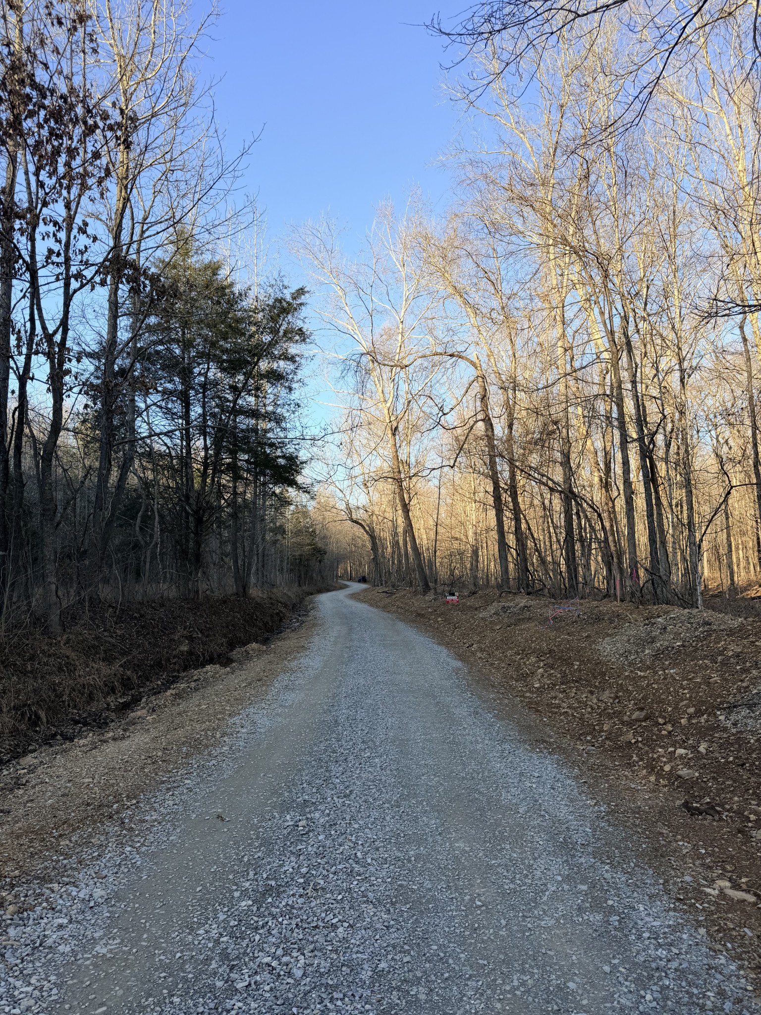 2 John Ross Hollow Road Erin, TN 37061 - Photo 25 of 36 a view of a yard with a tree